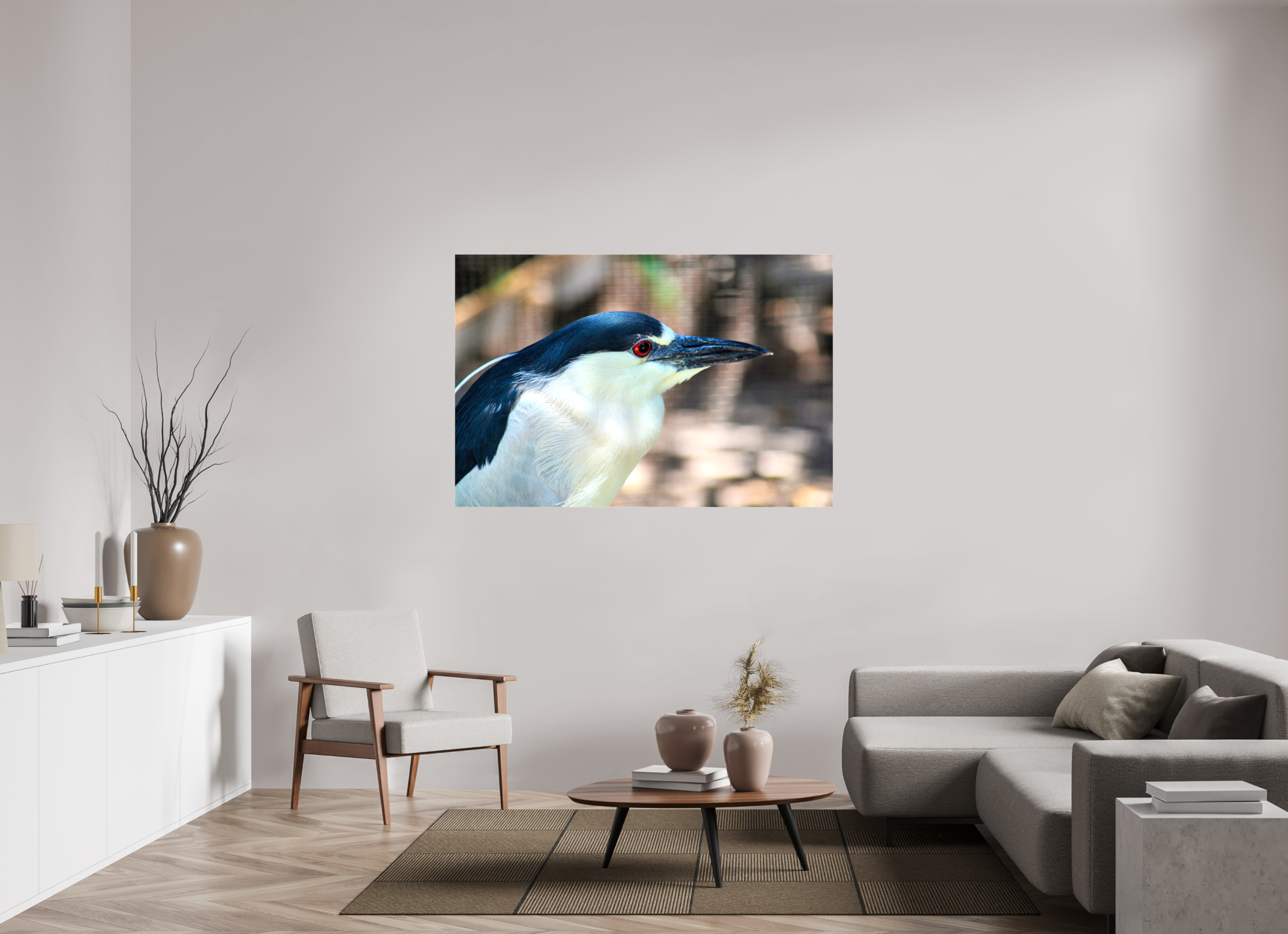 60 x 40″, Glossy Canvas on Stretcher Frame, 1,57" Wrapped Black-crowned Night Heron