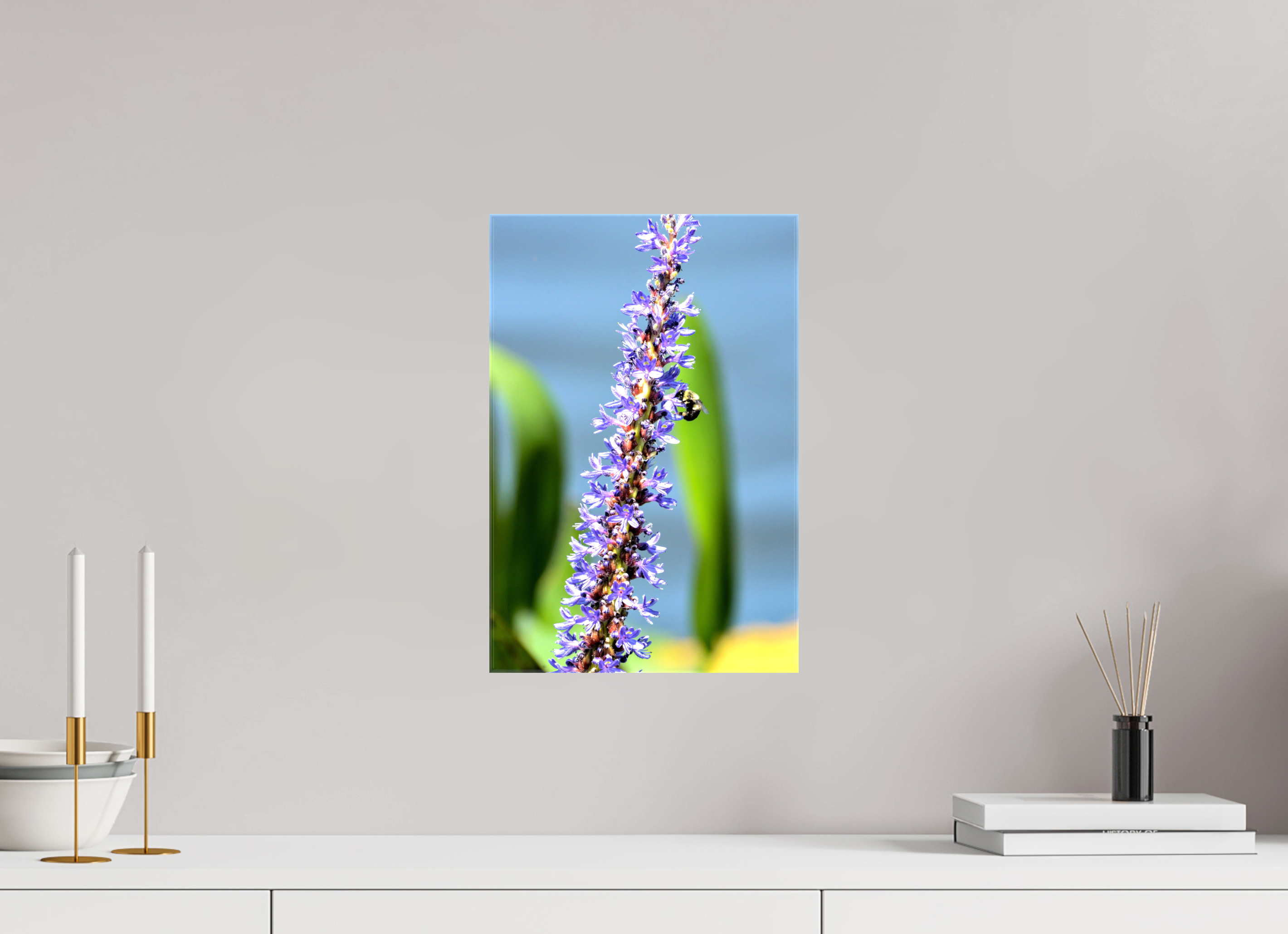 10 x 15″, Glossy Canvas on Stretcher Frame, 1,57" Wrapped Bloom & Buzz