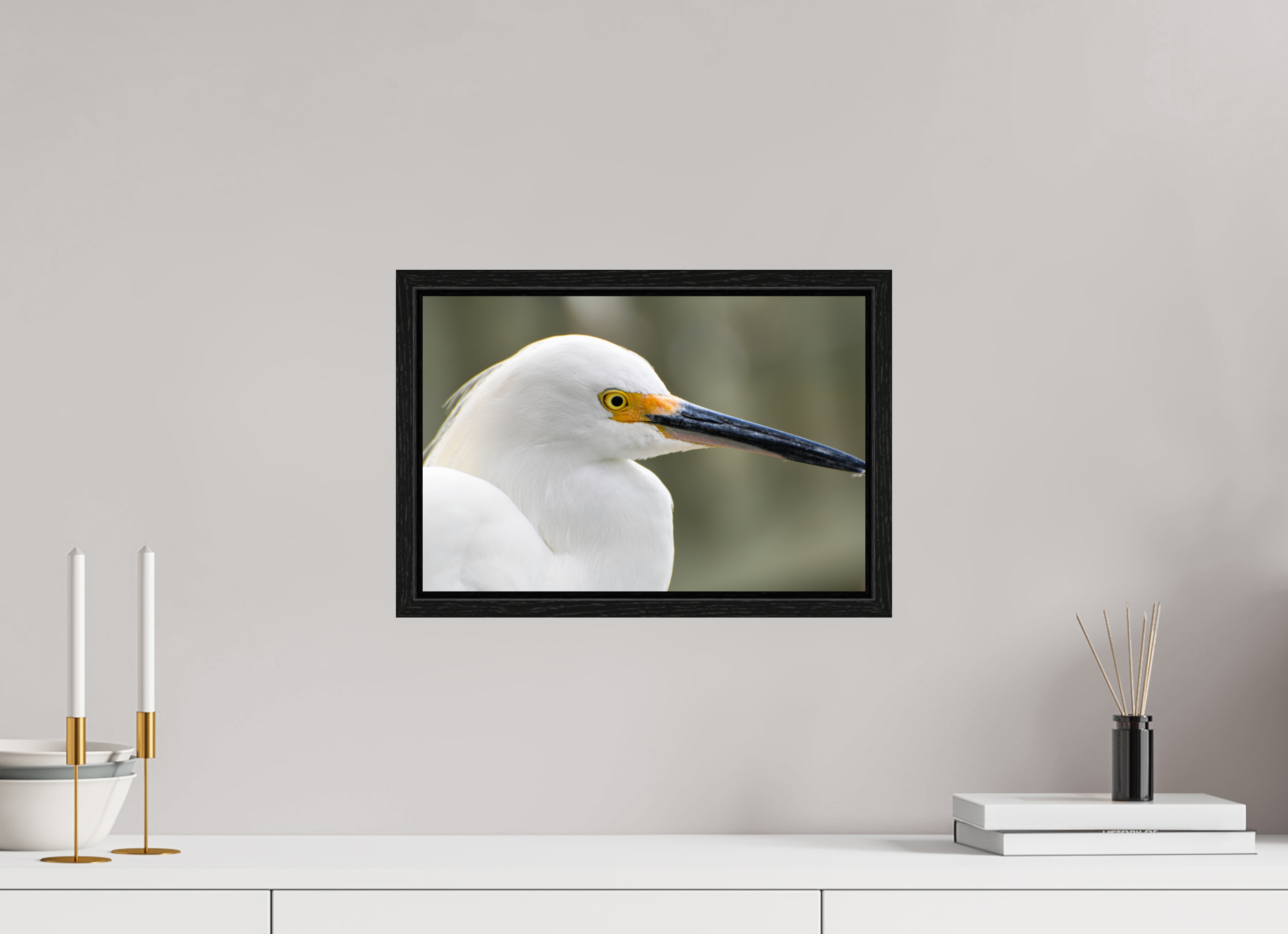 15 x 10″, Floater Frame, Basel 0.6", Black Oak, Glossy Acrylic Glass The White Plume: Snowy Egret Portrait