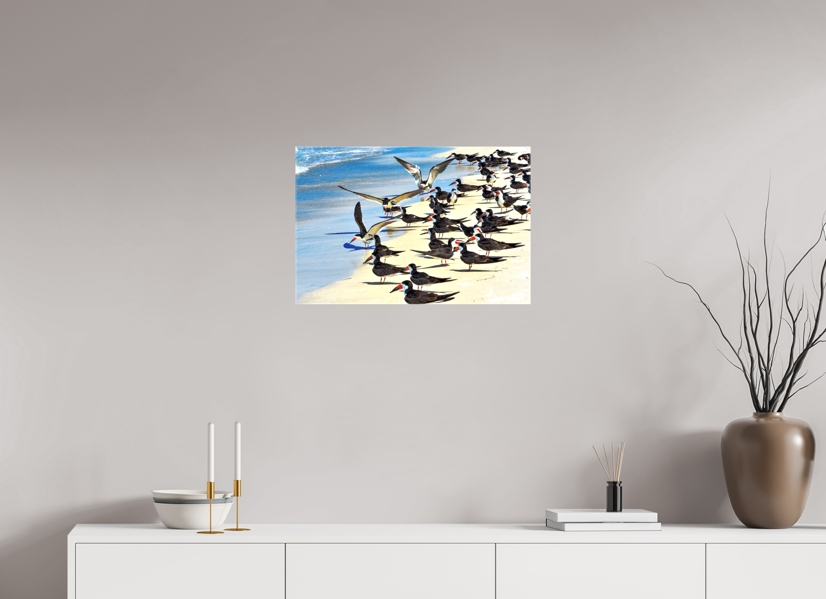 24 x 16″, Glossy Canvas on Stretcher Frame, 1,57" Wrapped Shoreline Social: Black Skimmer Colony