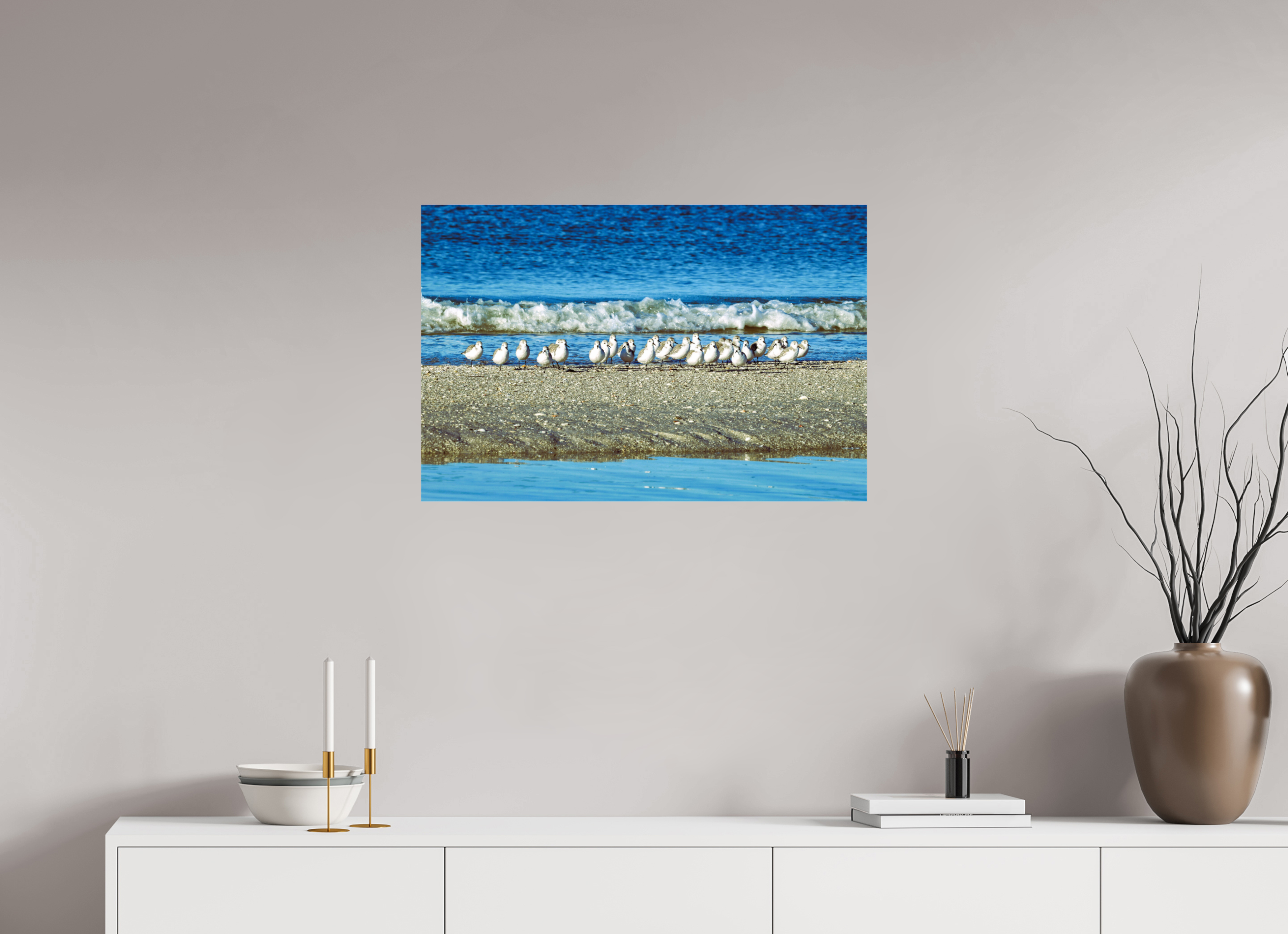 30 x 20″, Photo Print Fuji Crystal Archive Under Acrylic Glass Sanderlings on Standby