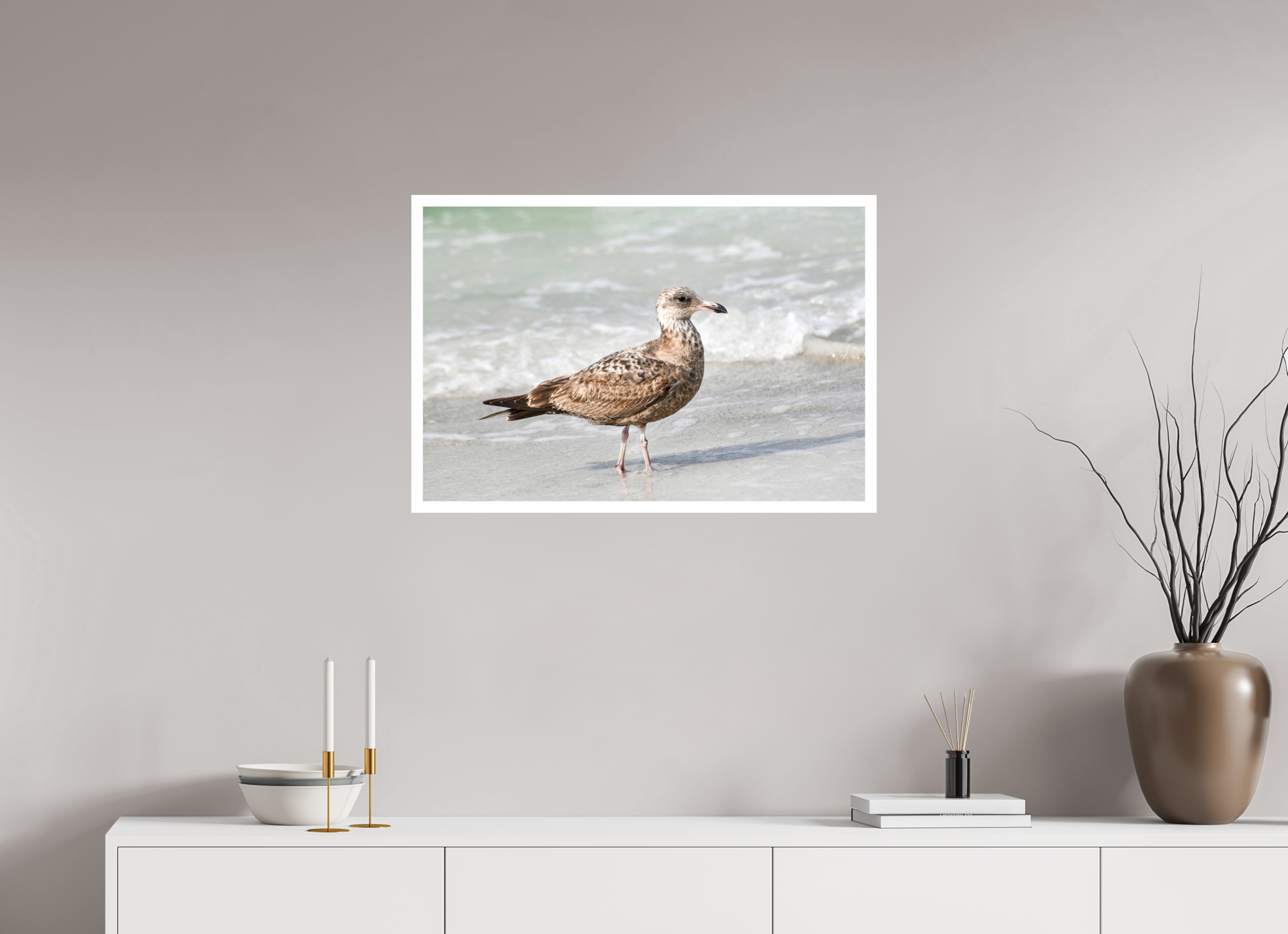 30 x 20″, Hahnemühle FineArt Pearl Print, .79" white border The Young Explorer: Immature American Herring Gull