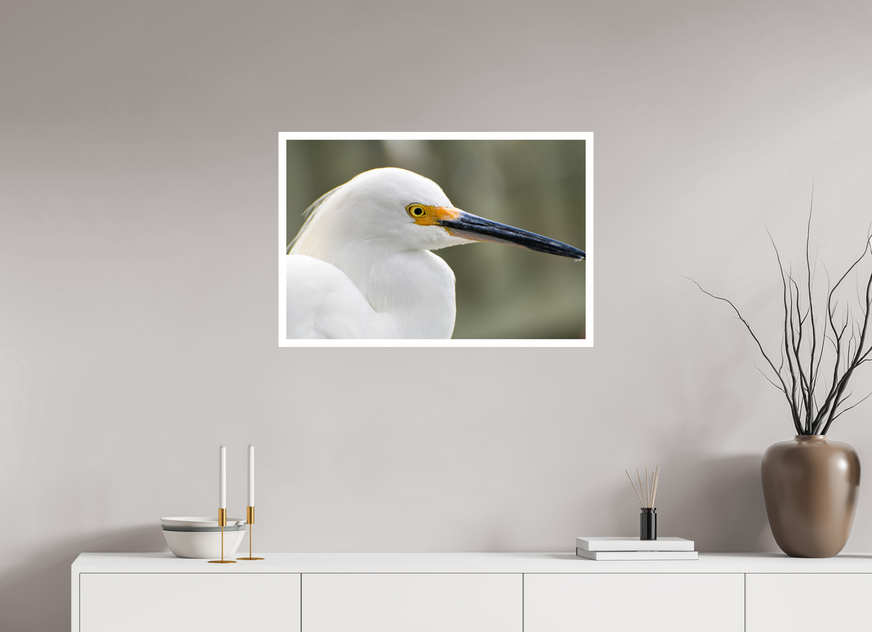 30 x 20″, Hahnemühle FineArt Pearl Print, .79" white border The White Plume: Snowy Egret Portrait