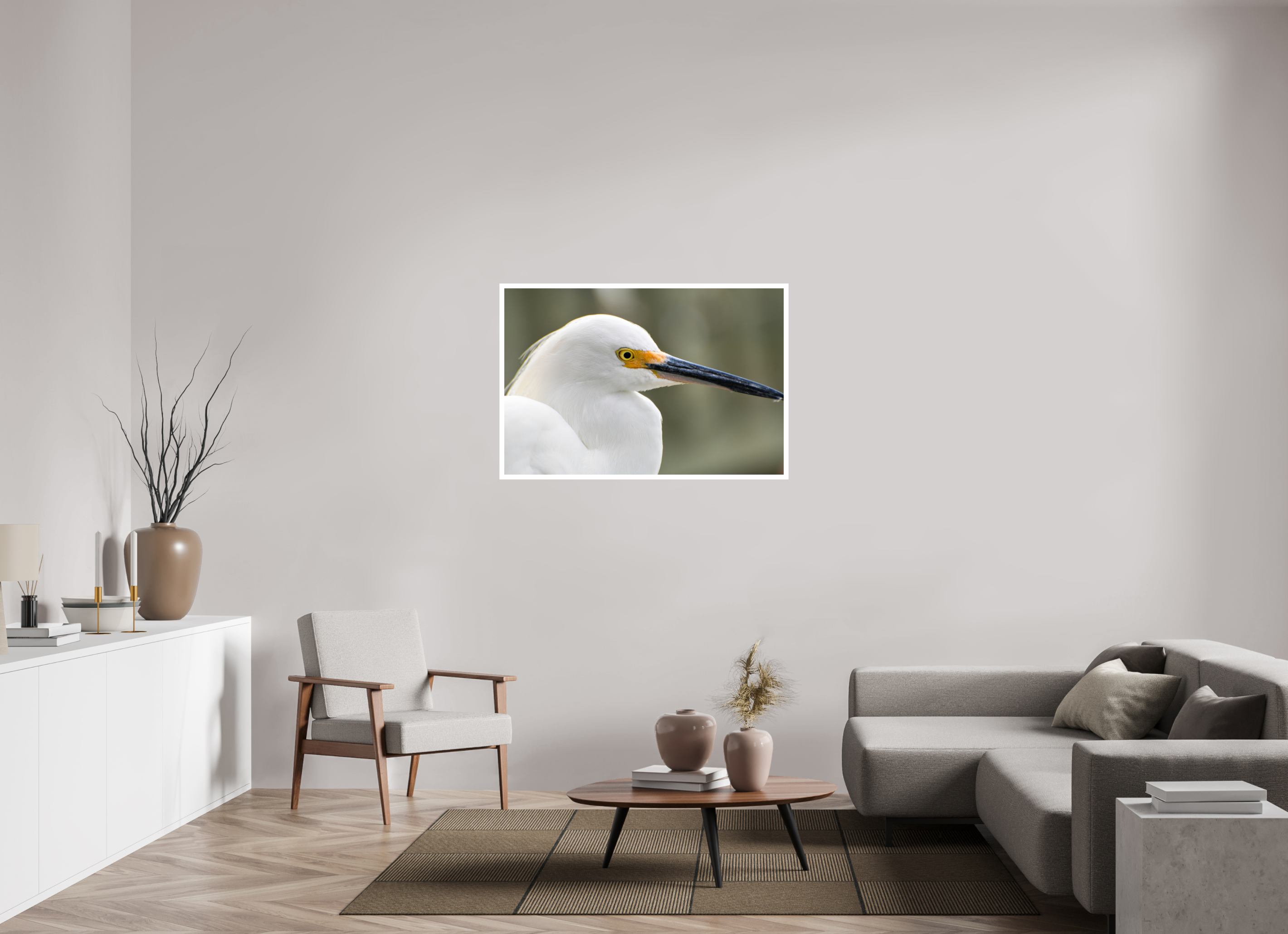 45 x 30″, Hahnemühle FineArt Pearl Print, .79" white border The White Plume: Snowy Egret Portrait