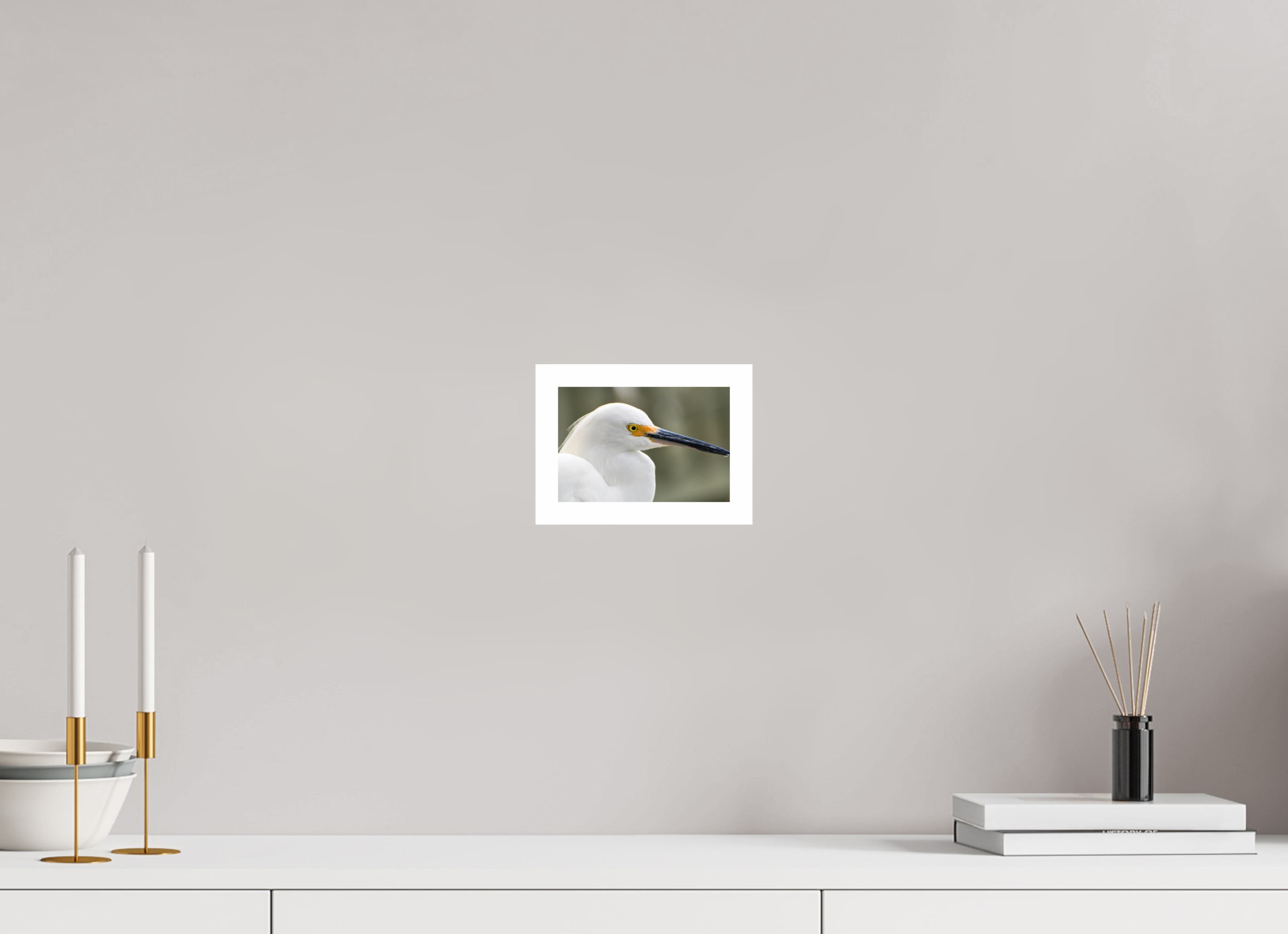 6 x 4″, Hahnemühle FineArt Pearl Print, .79" white border The White Plume: Snowy Egret Portrait