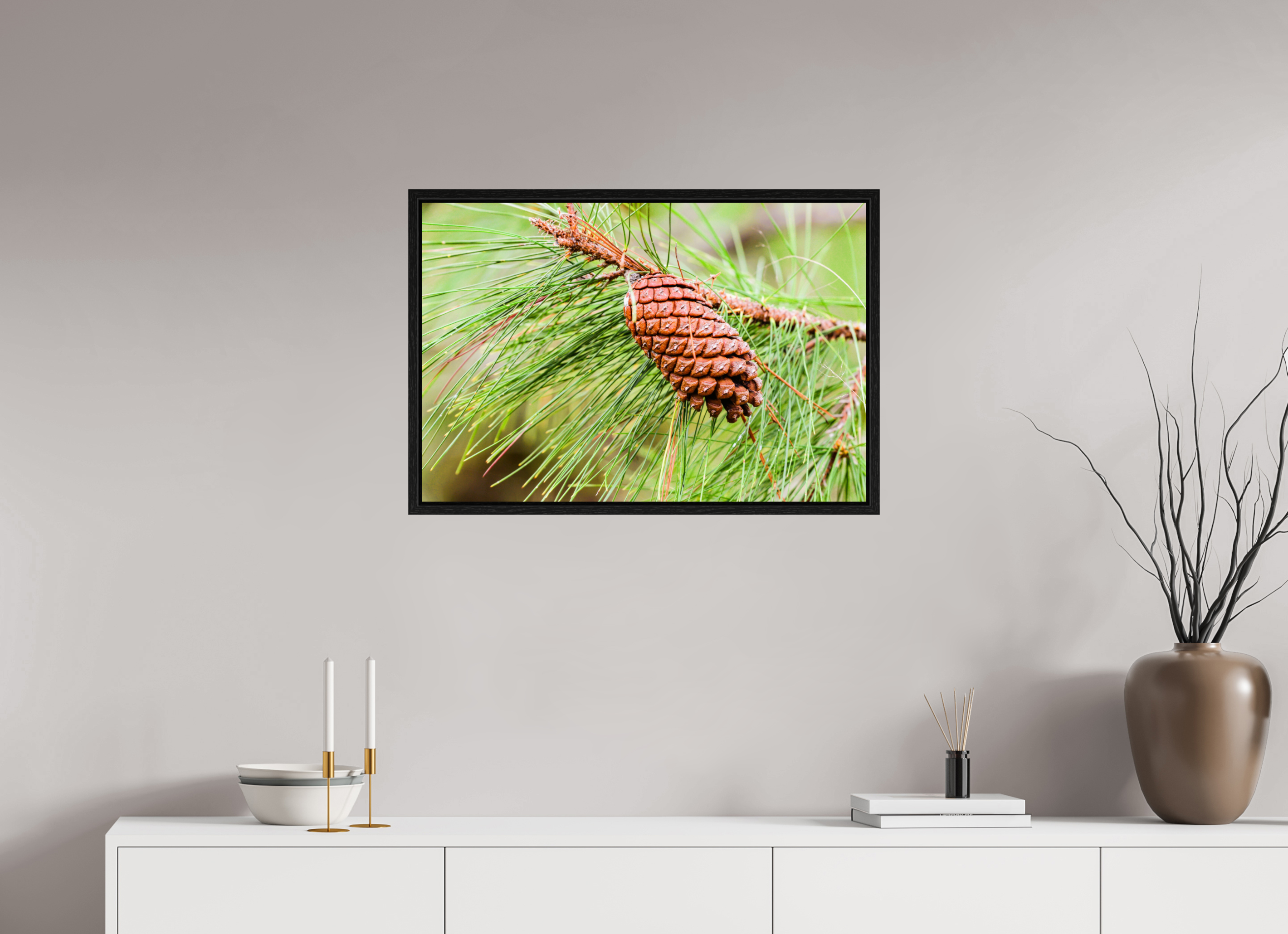 29.7 x 20″, Floater Frame The Longleaf Pine Cone