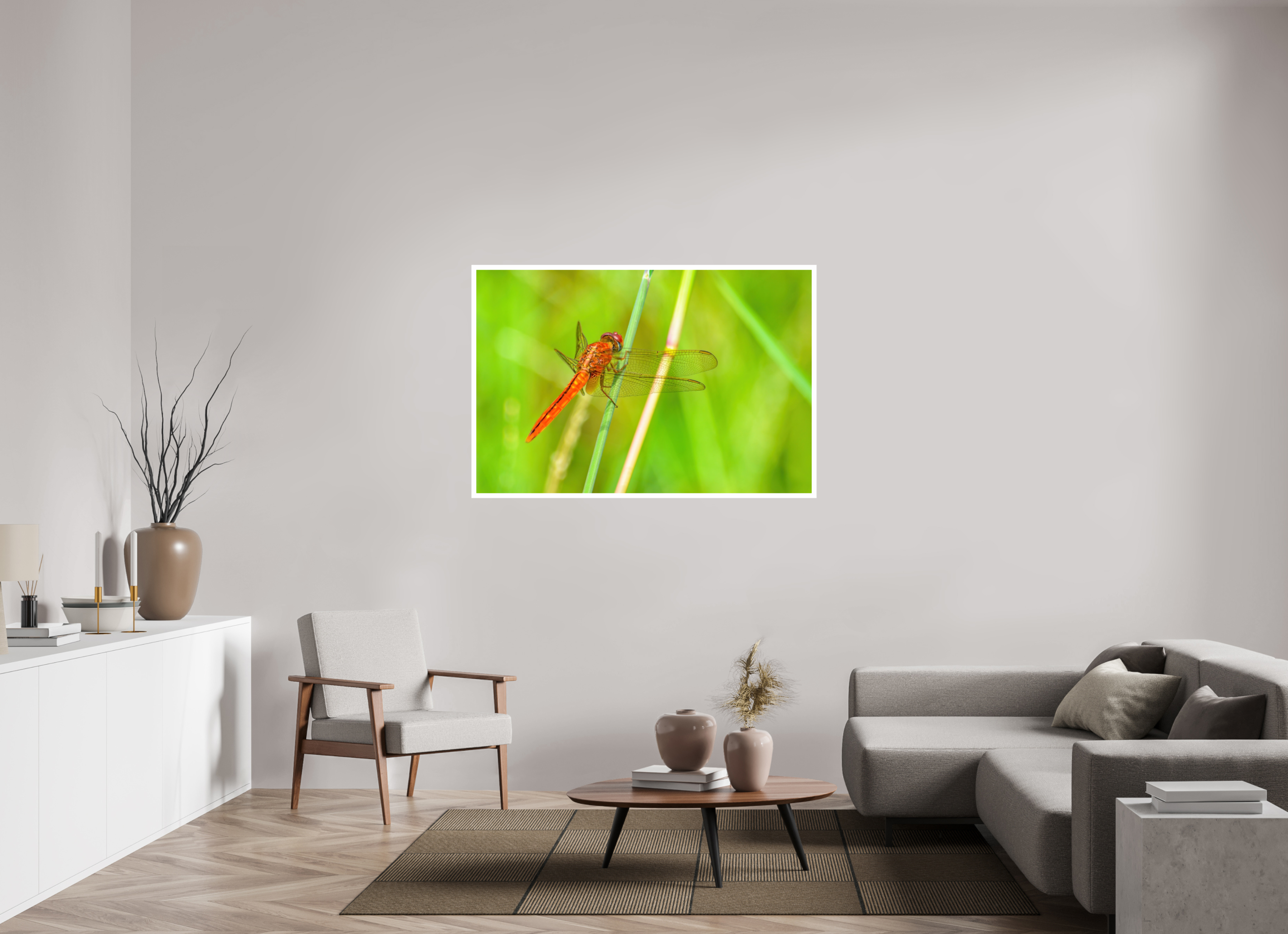 54 x 36″, Hahnemühle FineArt Pearl Print, .79" white border Resting Scarlet Skimmer