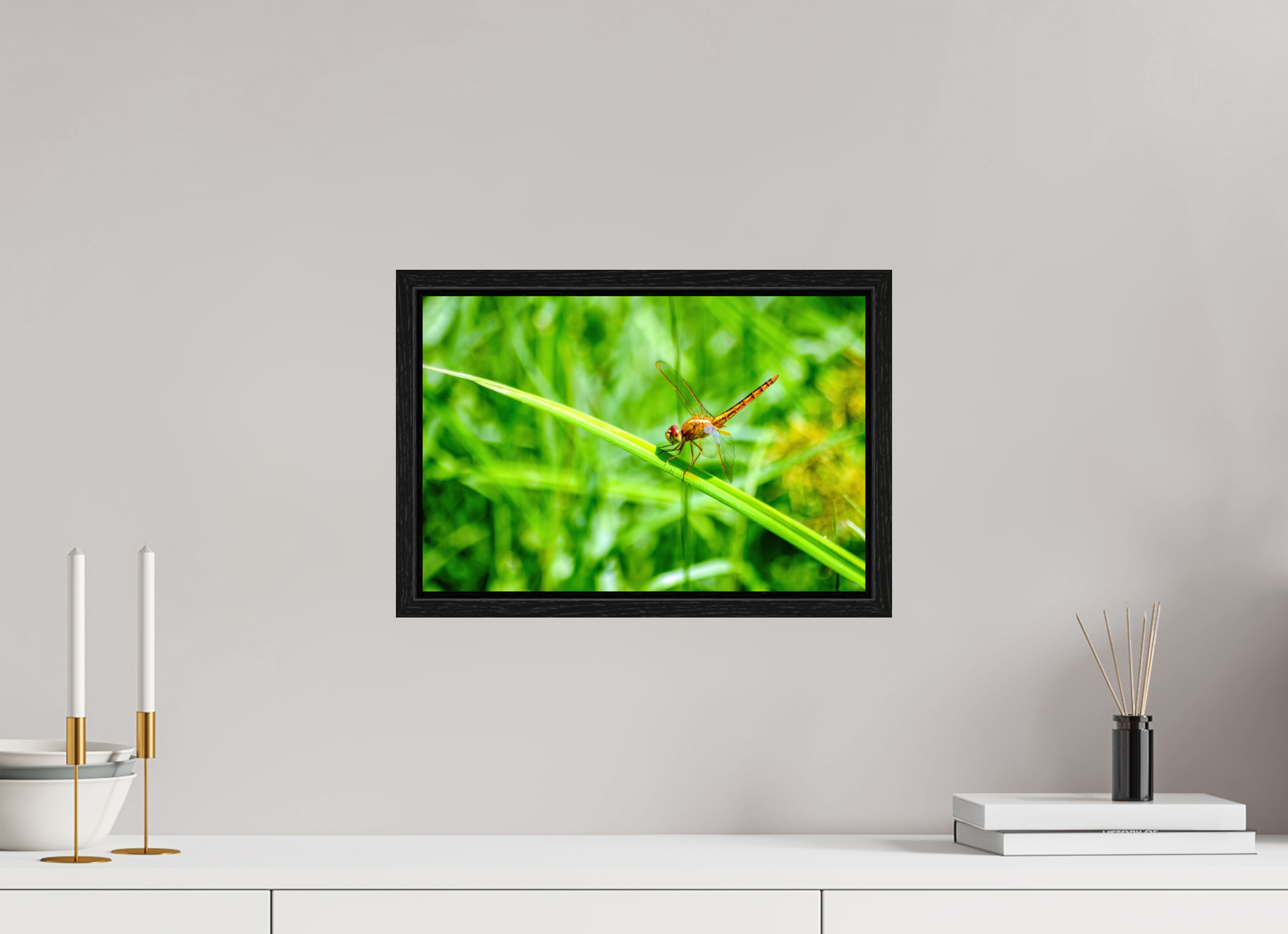 15 x 10″, Floater Frame, Basel 0.6", Black Oak, Glossy Acrylic Glass Female Scarlet Skimmer