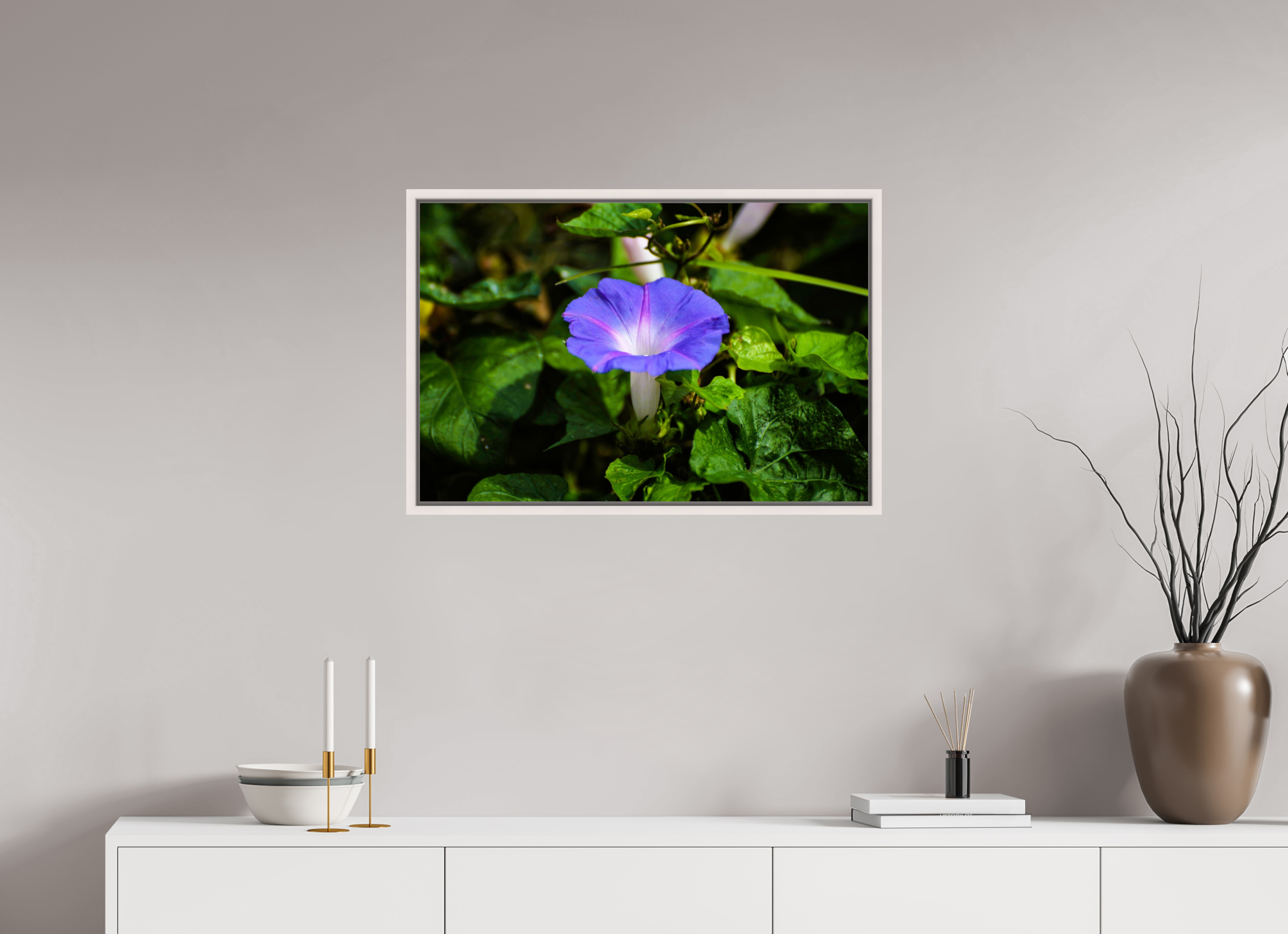 30 x 20″, Floater Frame, Basel 0.6", Maple White, Glossy Acrylic Glass Heavenly Blue Morning Glory
