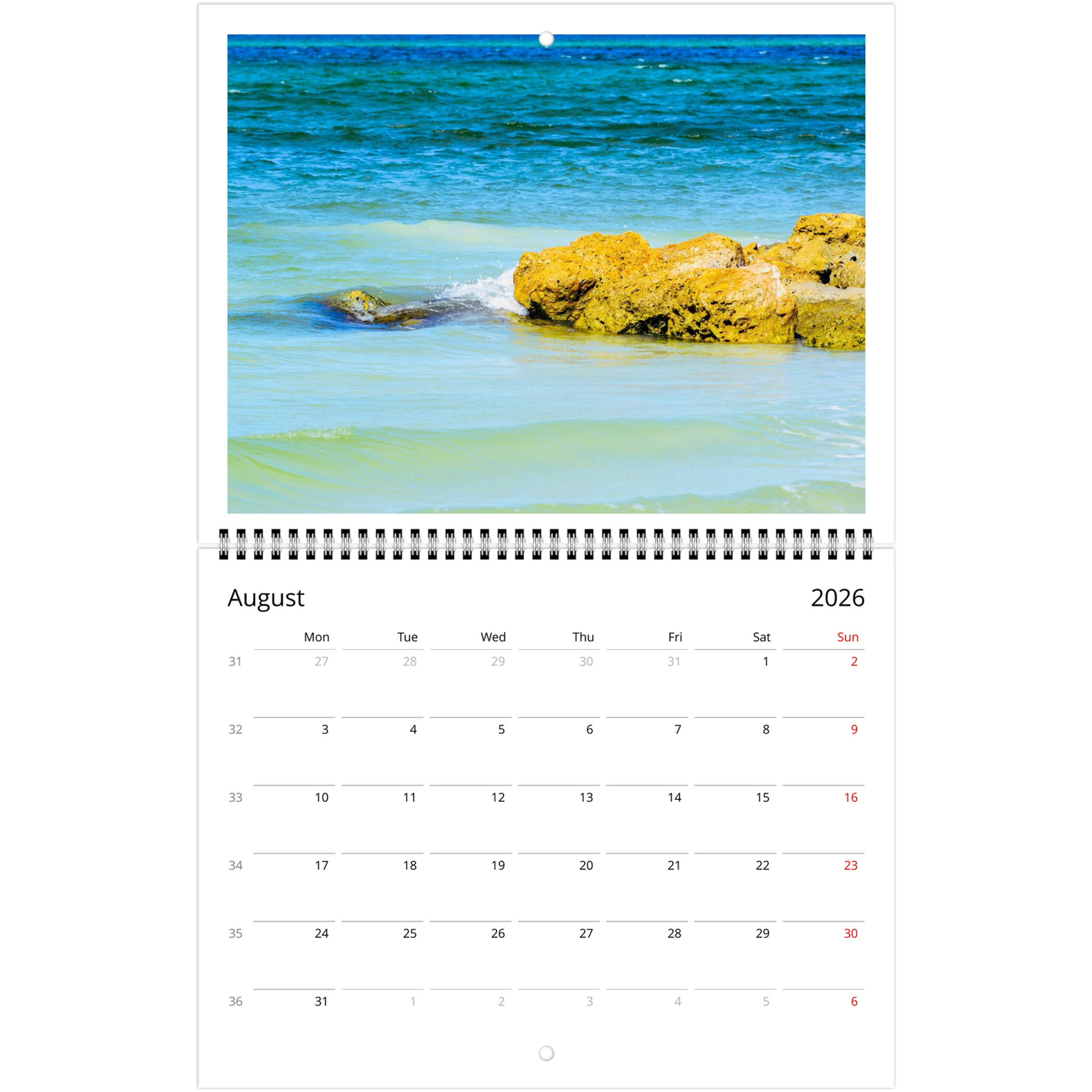 05ab84d2-0c71-4691-bddf-1a1ca6b1e368