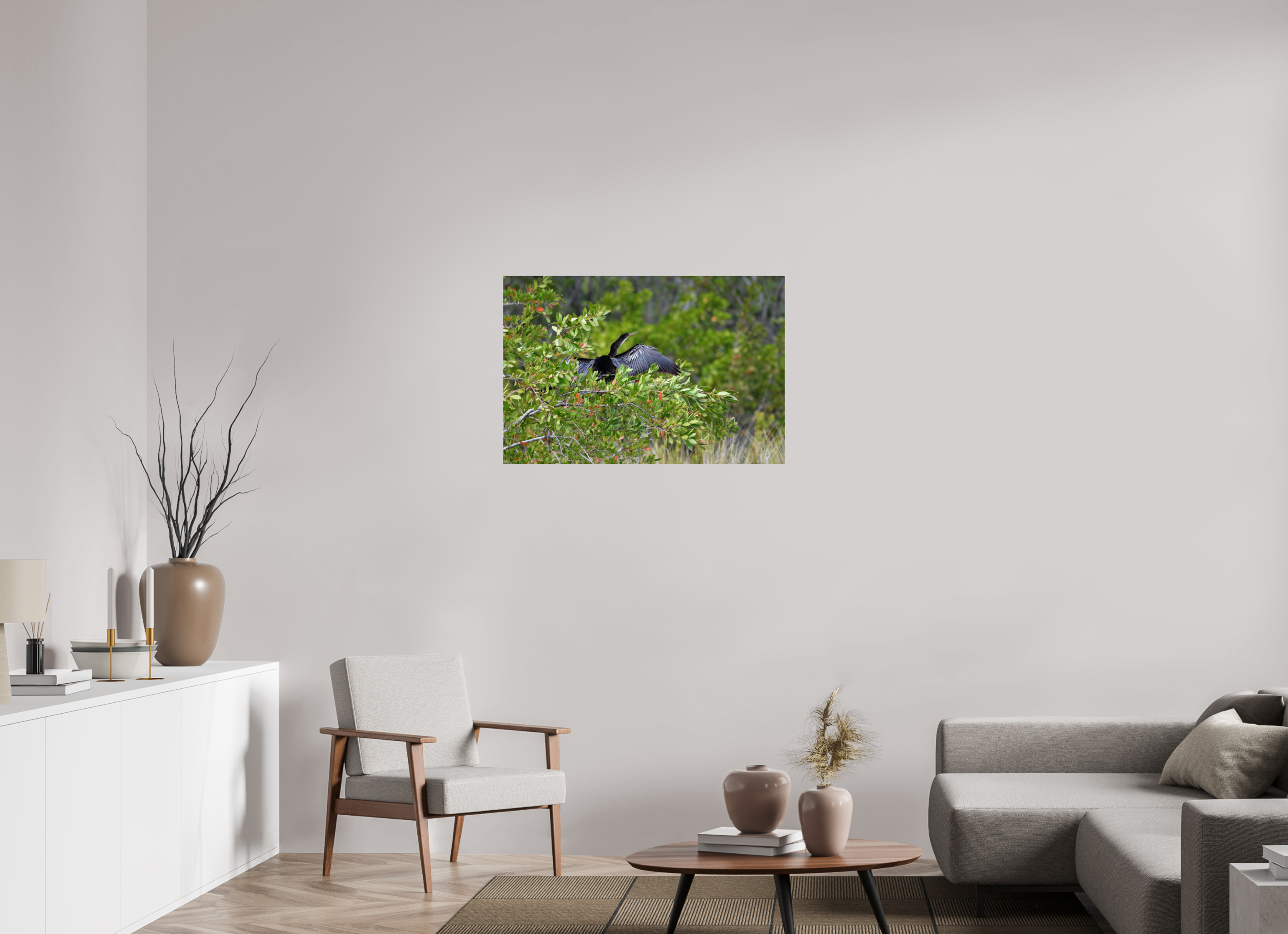 36 x 24″, Photo Print On Fuji Crystal DP II Florida Anhinga Sunning