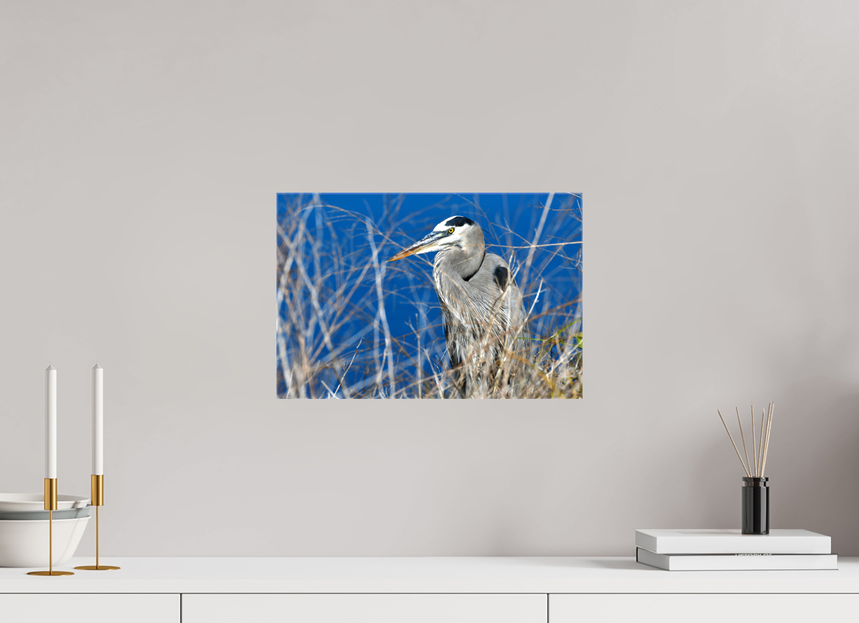 15 x 10″, Glossy Canvas on Stretcher Frame, 1,57" Wrapped Hidden Majesty: Great Blue Heron