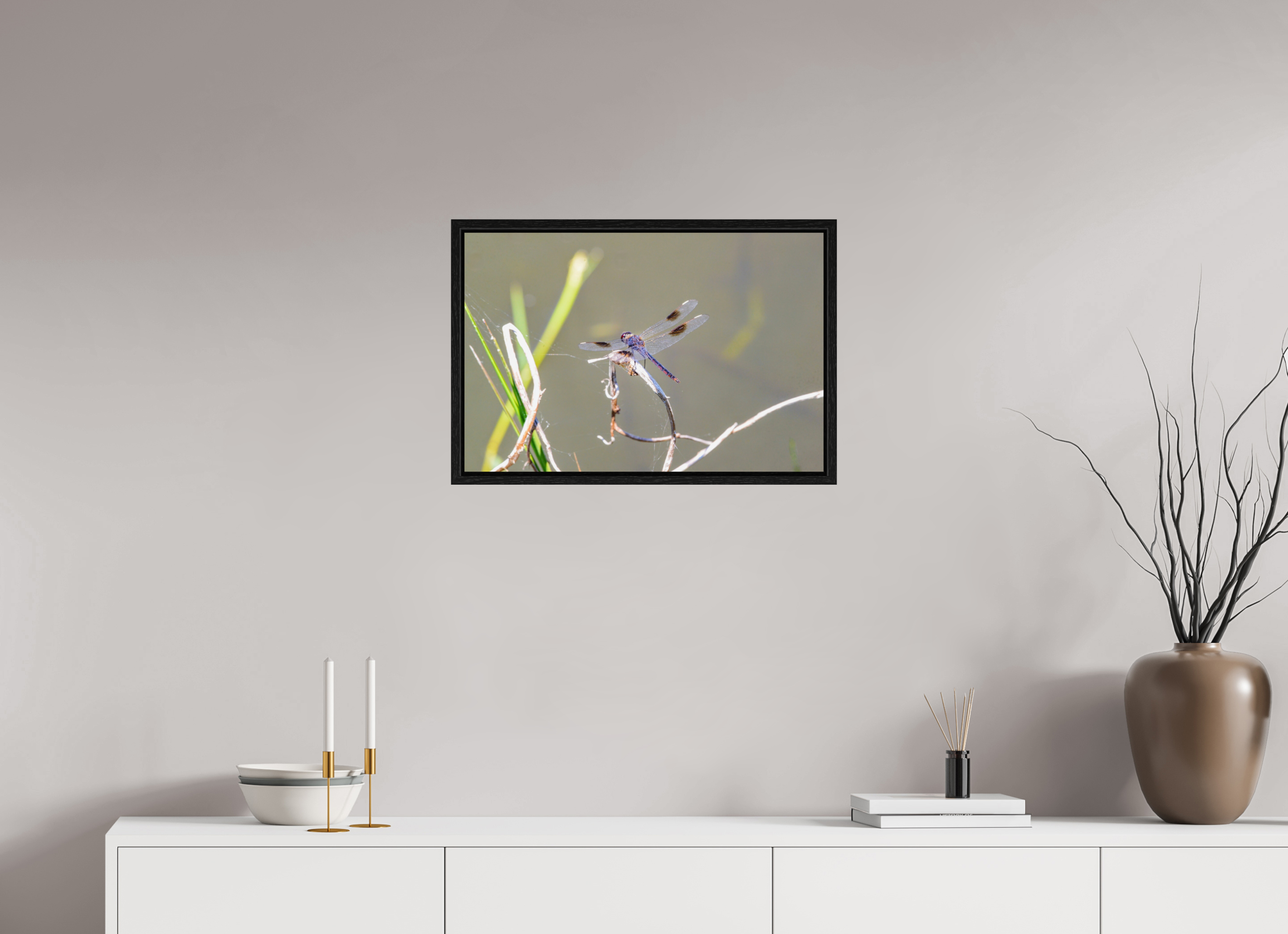 24 x 16″, Floater Frame, Basel 0.6", Black Oak, Glossy Acrylic Glass Pennant Dragonfly in the Marsh