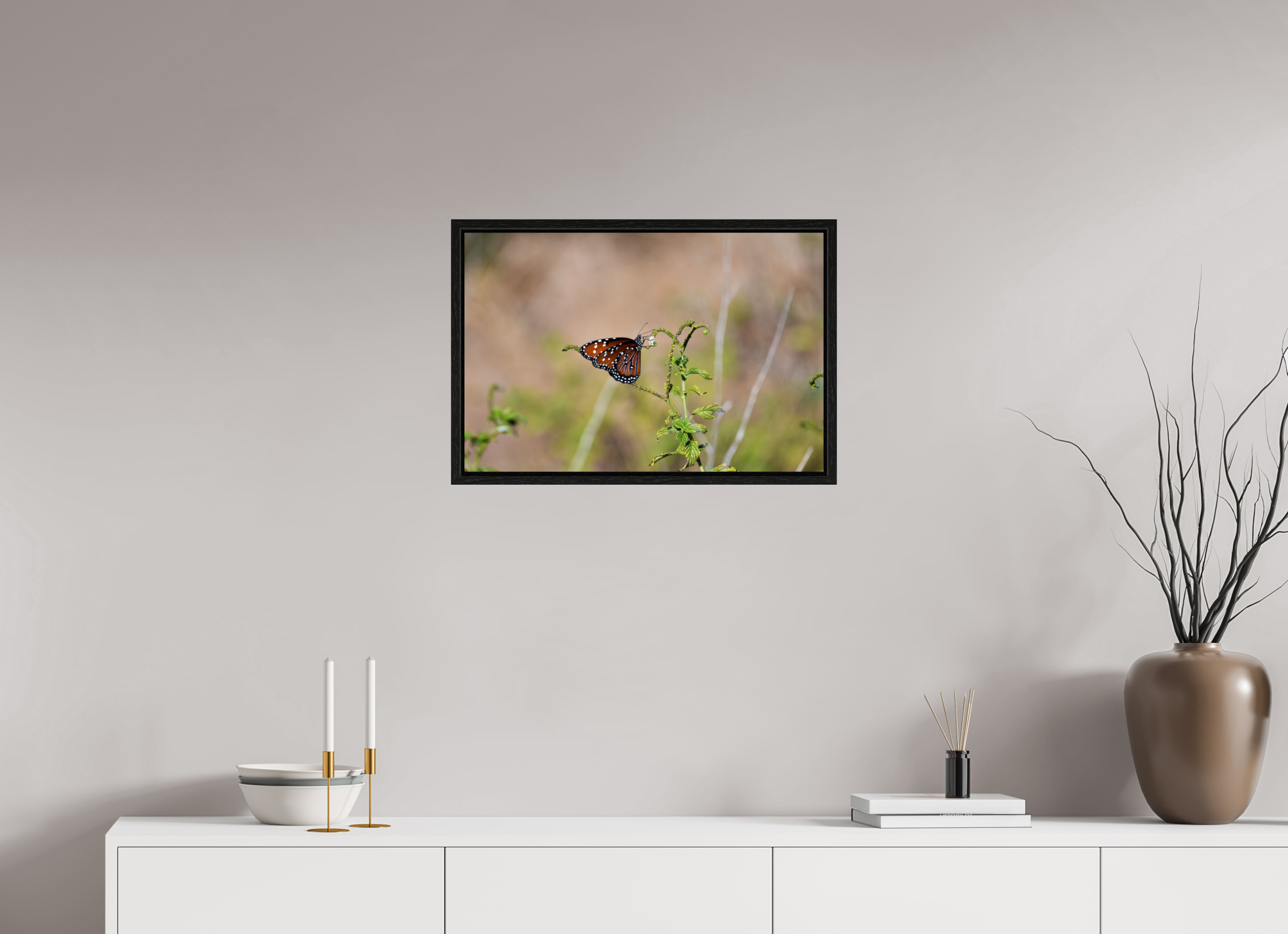 24 x 16″, Floater Frame Queen Butterfly