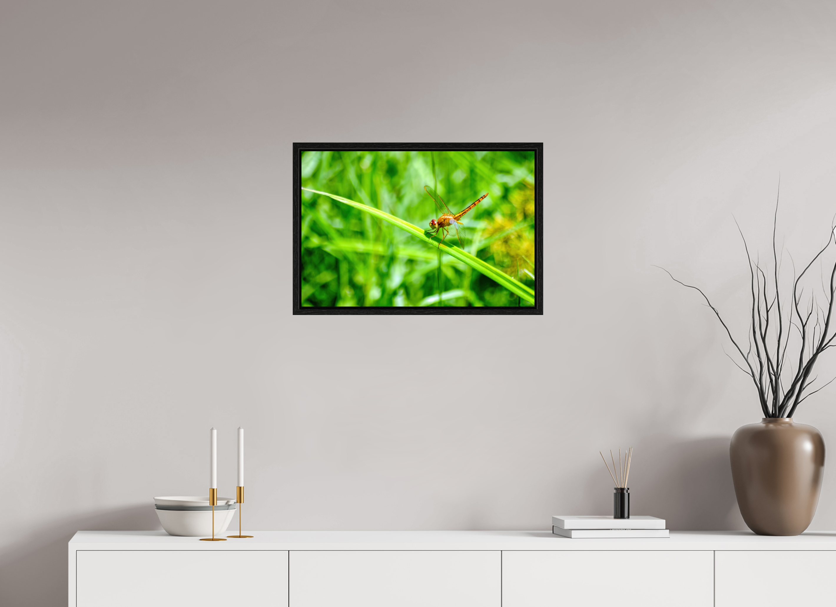 24 x 16″, Floater Frame, Basel 0.6", Black Oak, Glossy Acrylic Glass Female Scarlet Skimmer