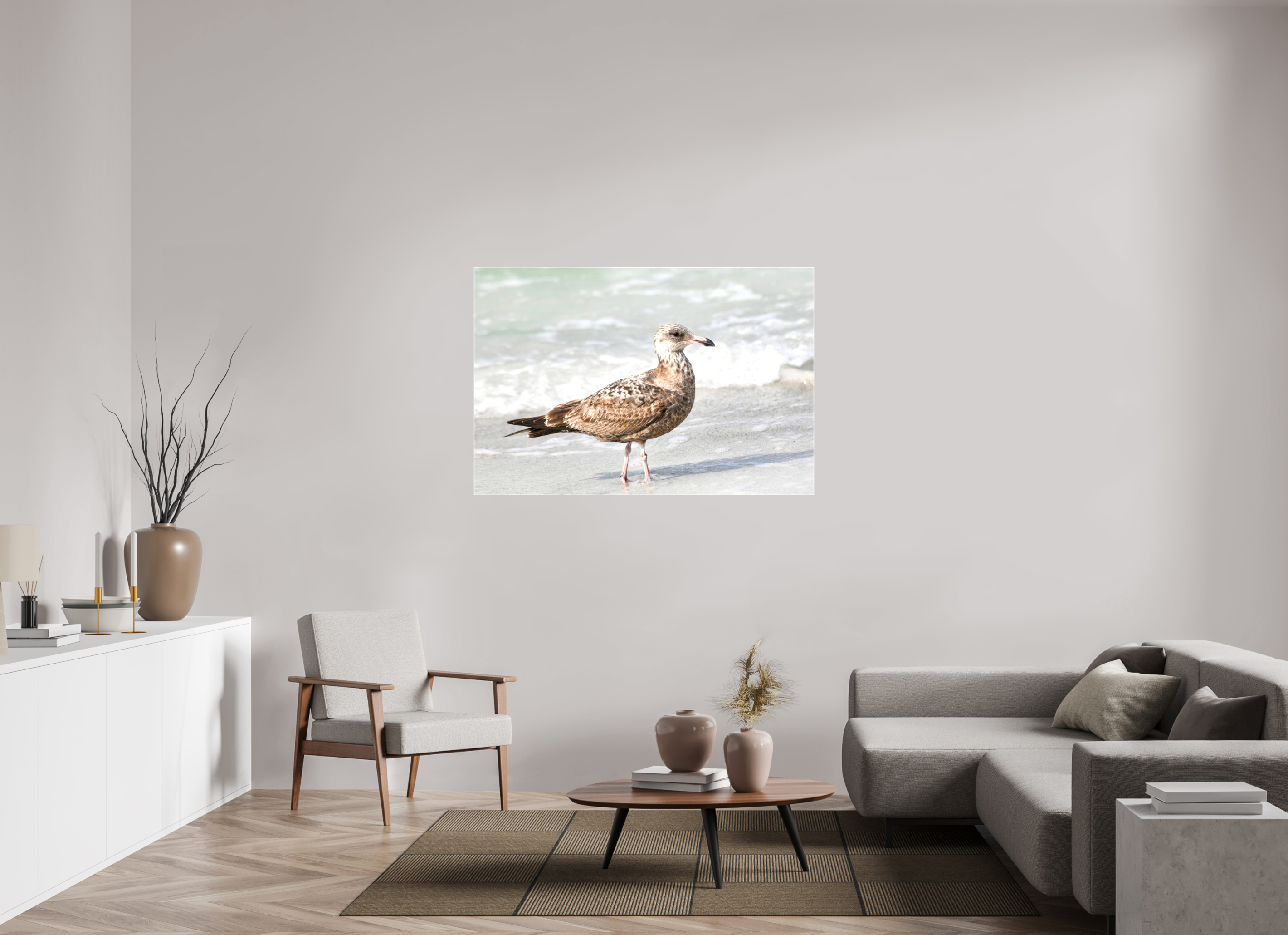 54 x 36″, Glossy Canvas on Stretcher Frame, 1,57" Wrapped The Young Explorer: Immature American Herring Gull