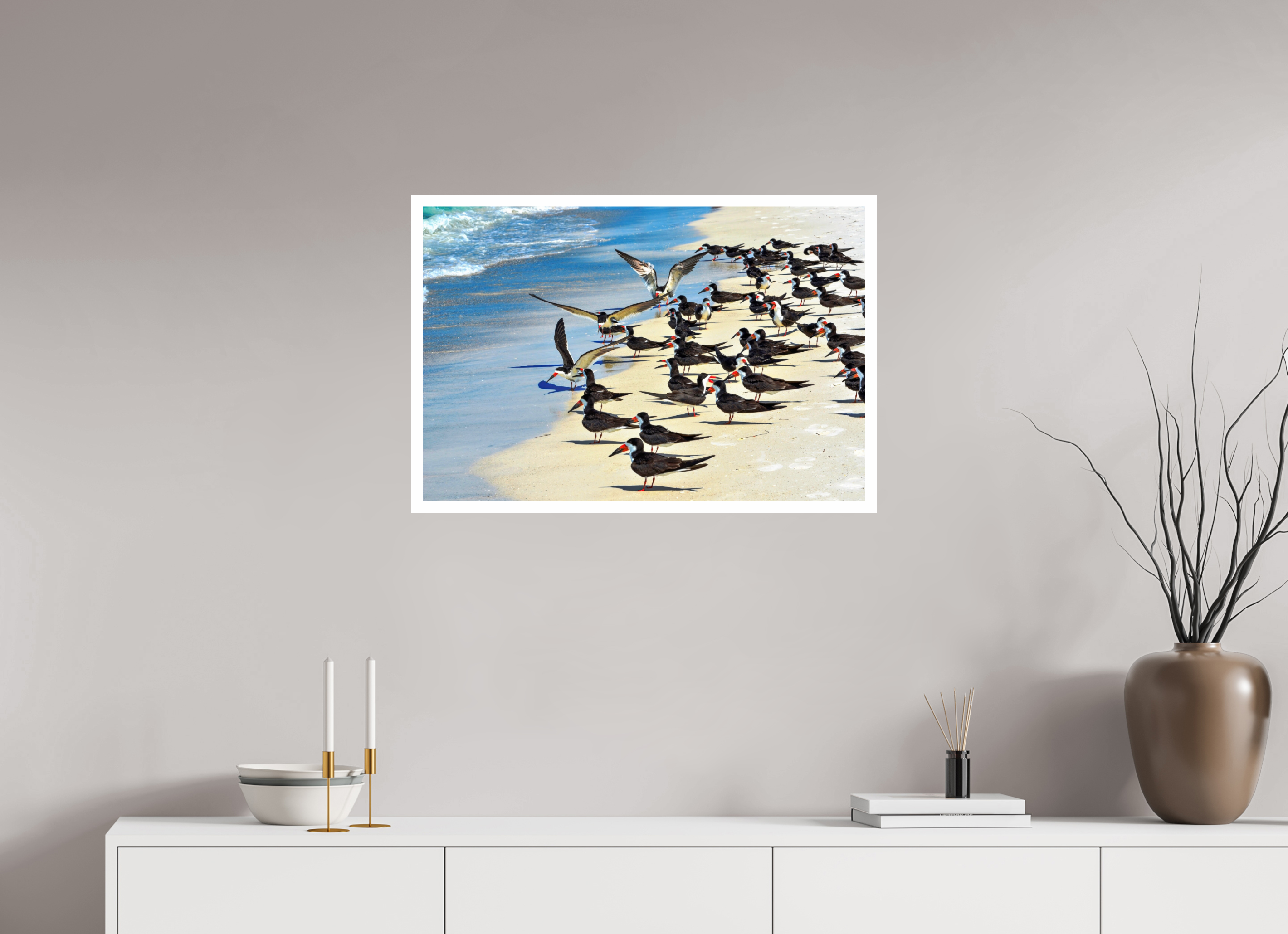 30 x 20″, Hahnemühle FineArt Pearl Print, .79" white border Shoreline Social: Black Skimmer Colony
