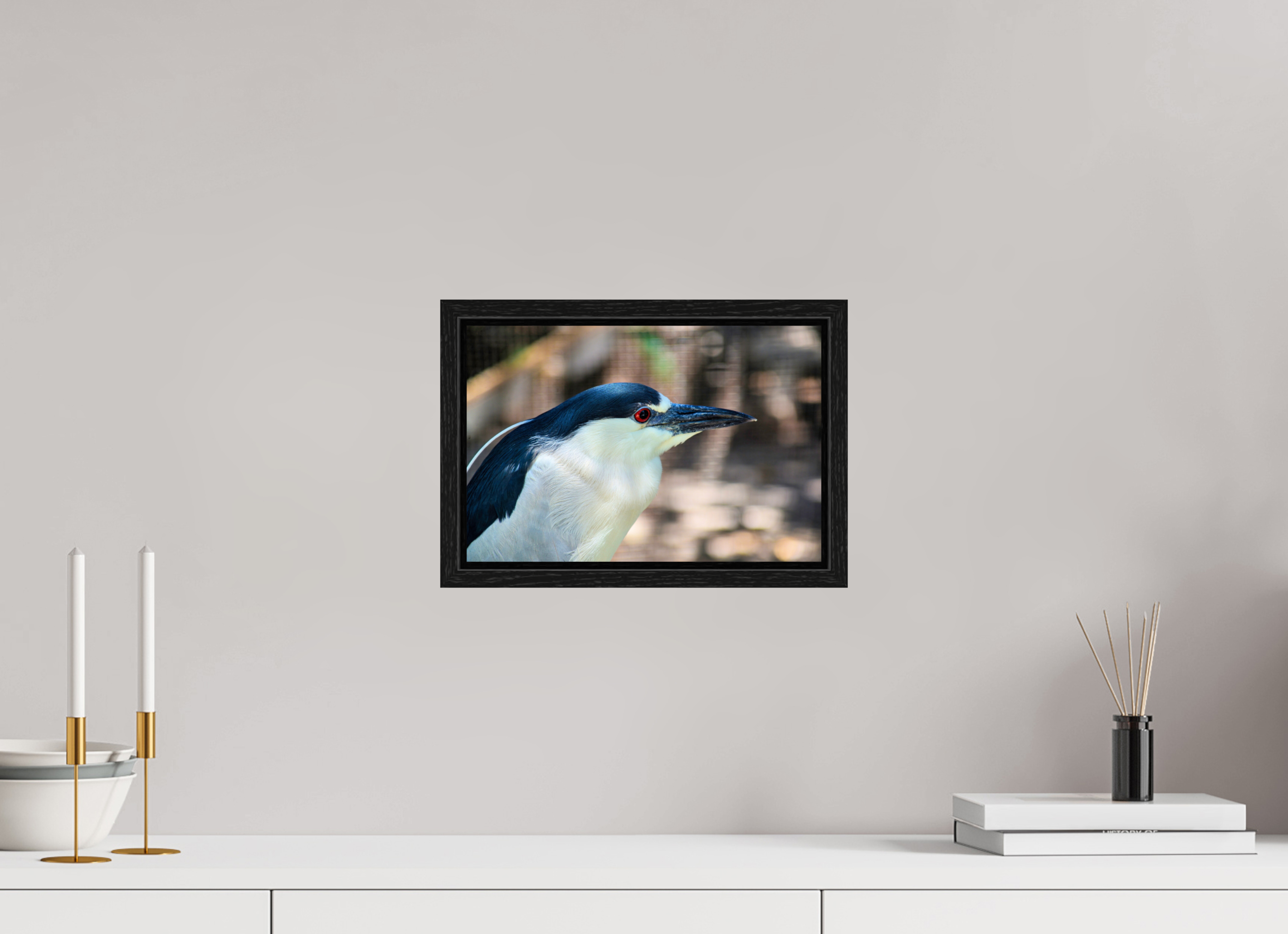 12 x 8″, Floater Frame, Basel 0.6", Black Oak, Glossy Acrylic Glass Black-crowned Night Heron