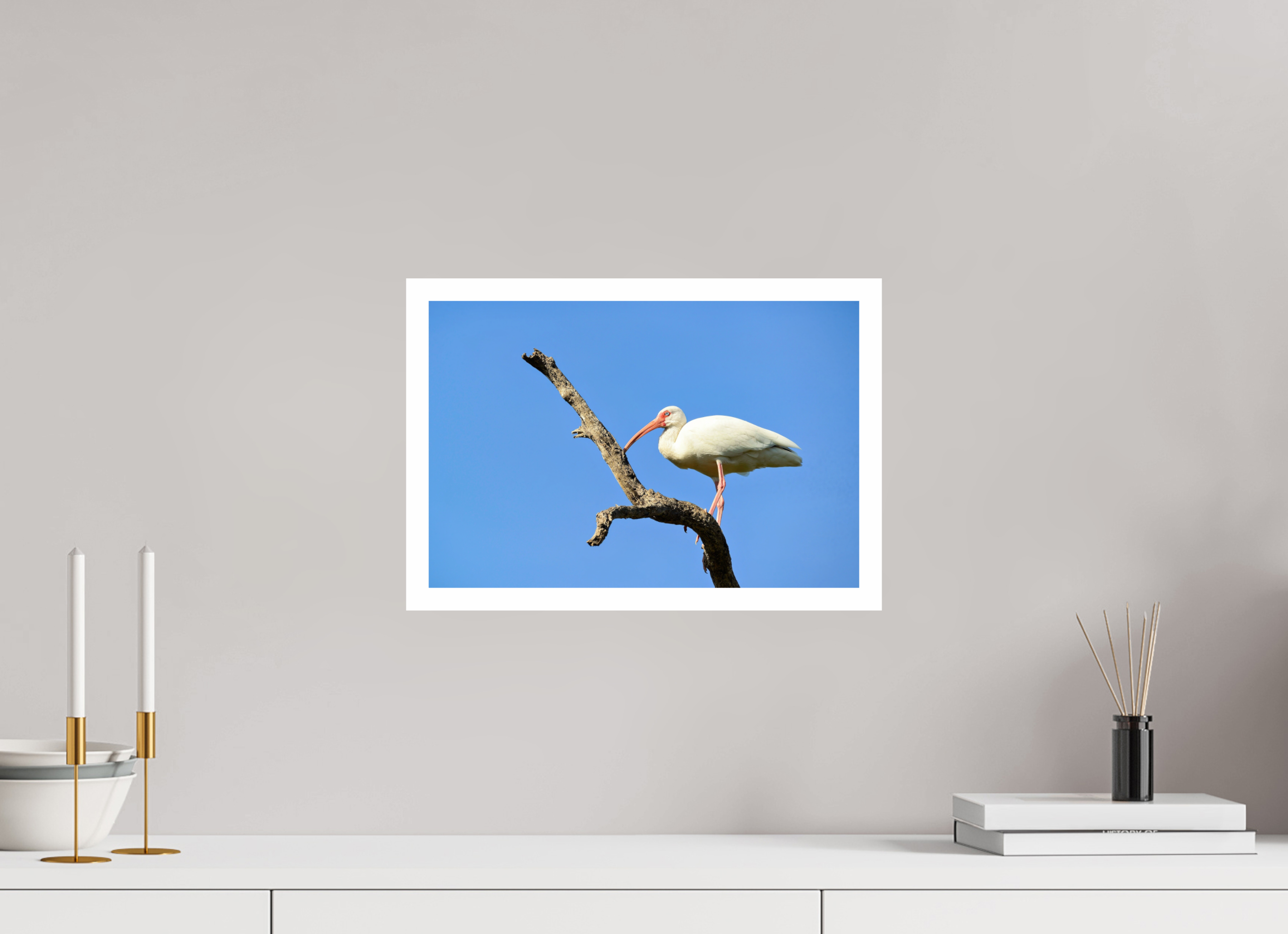 15 x 10″, Hahnemühle FineArt Pearl Print, .79" white border Azure Solitude: The American White Ibis