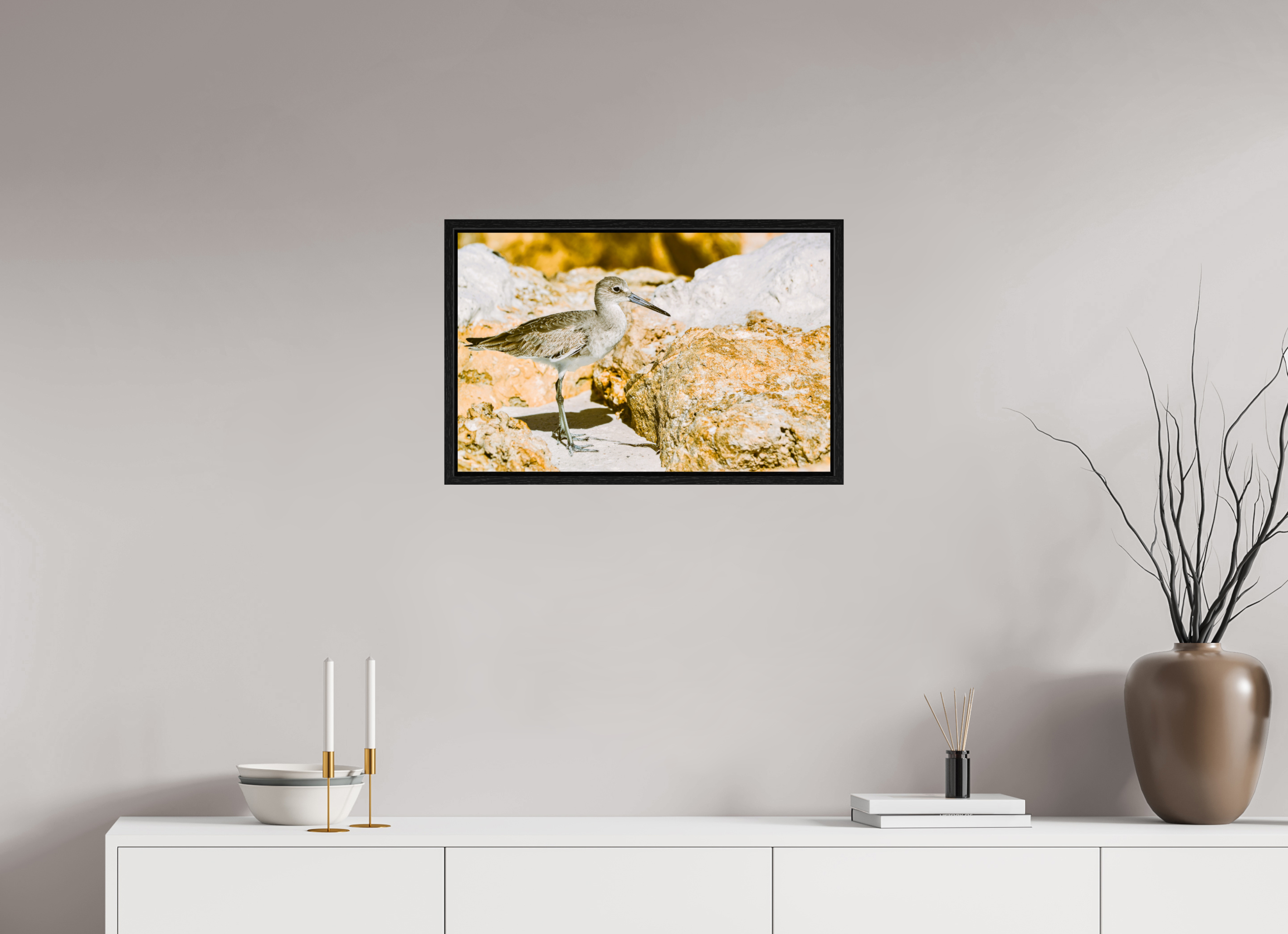 24.9 x 16″, Floater Frame The Sunny Willet