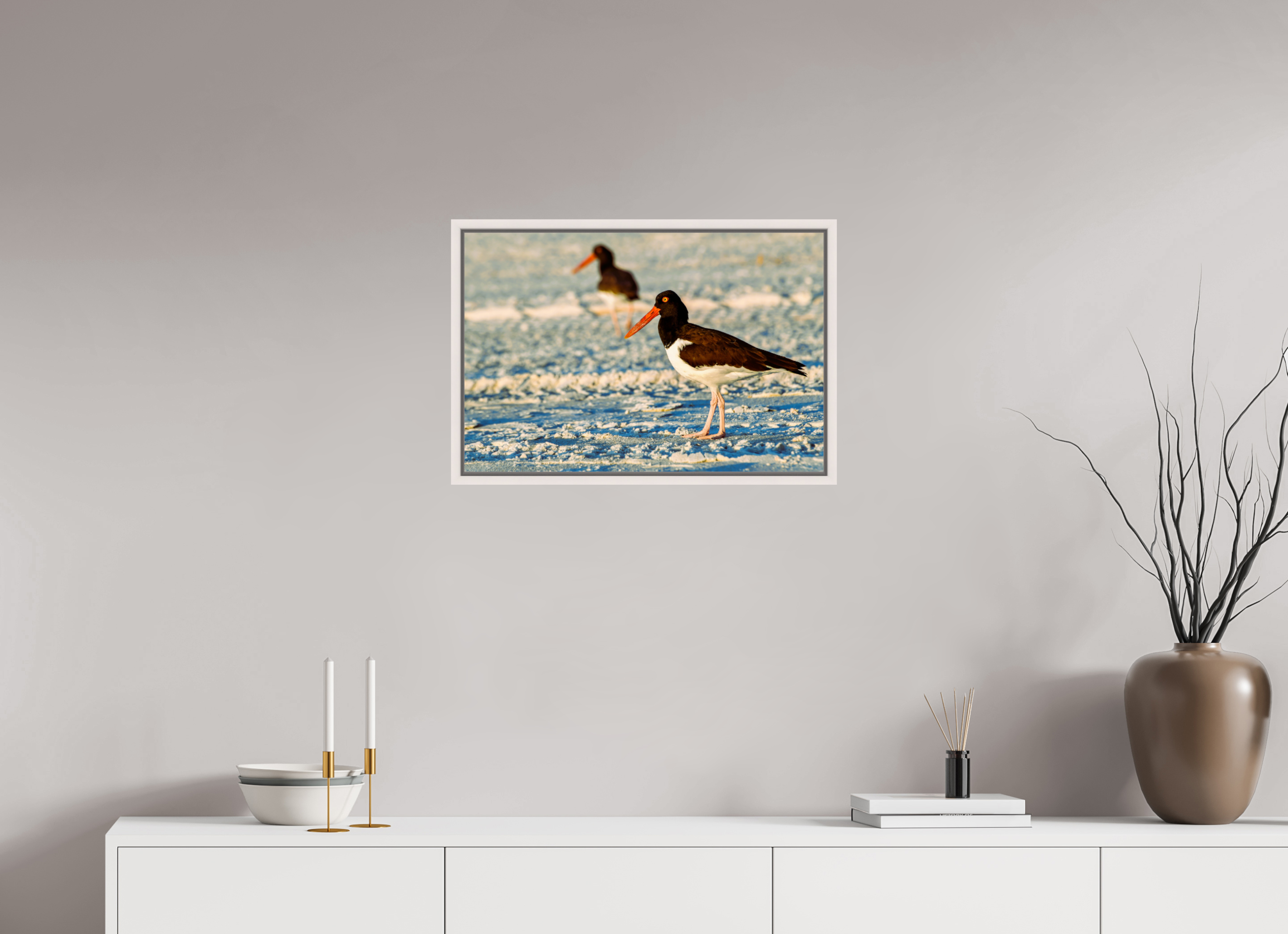 24 x 16″, Floater Frame, Basel 0.6", Maple White, Glossy Acrylic Glass Oystercatcher Stroll