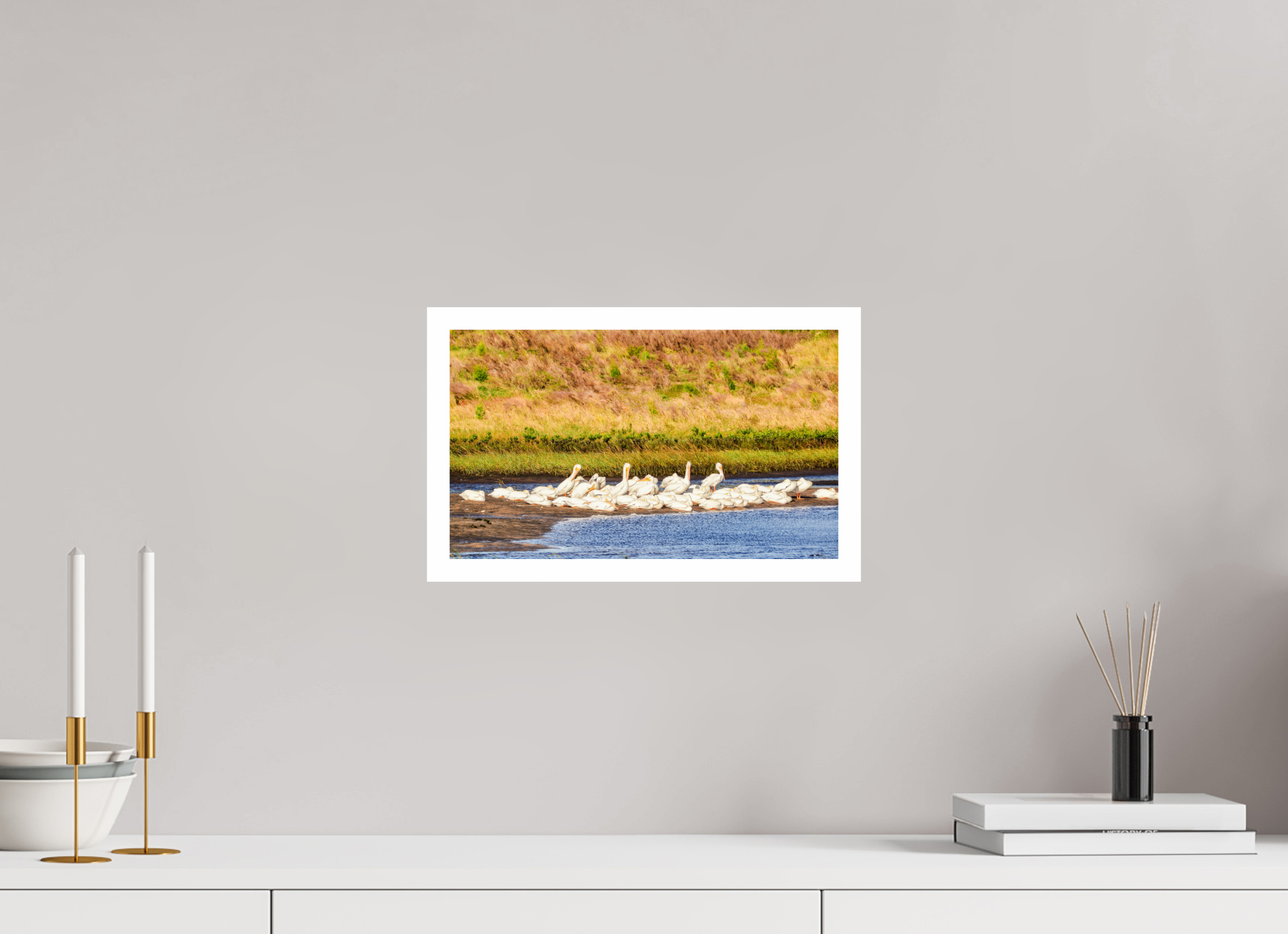 13.5 x 8″, Hahnemühle FineArt Pearl Print, .79" white border White Pelicans Golden Hour Gathering