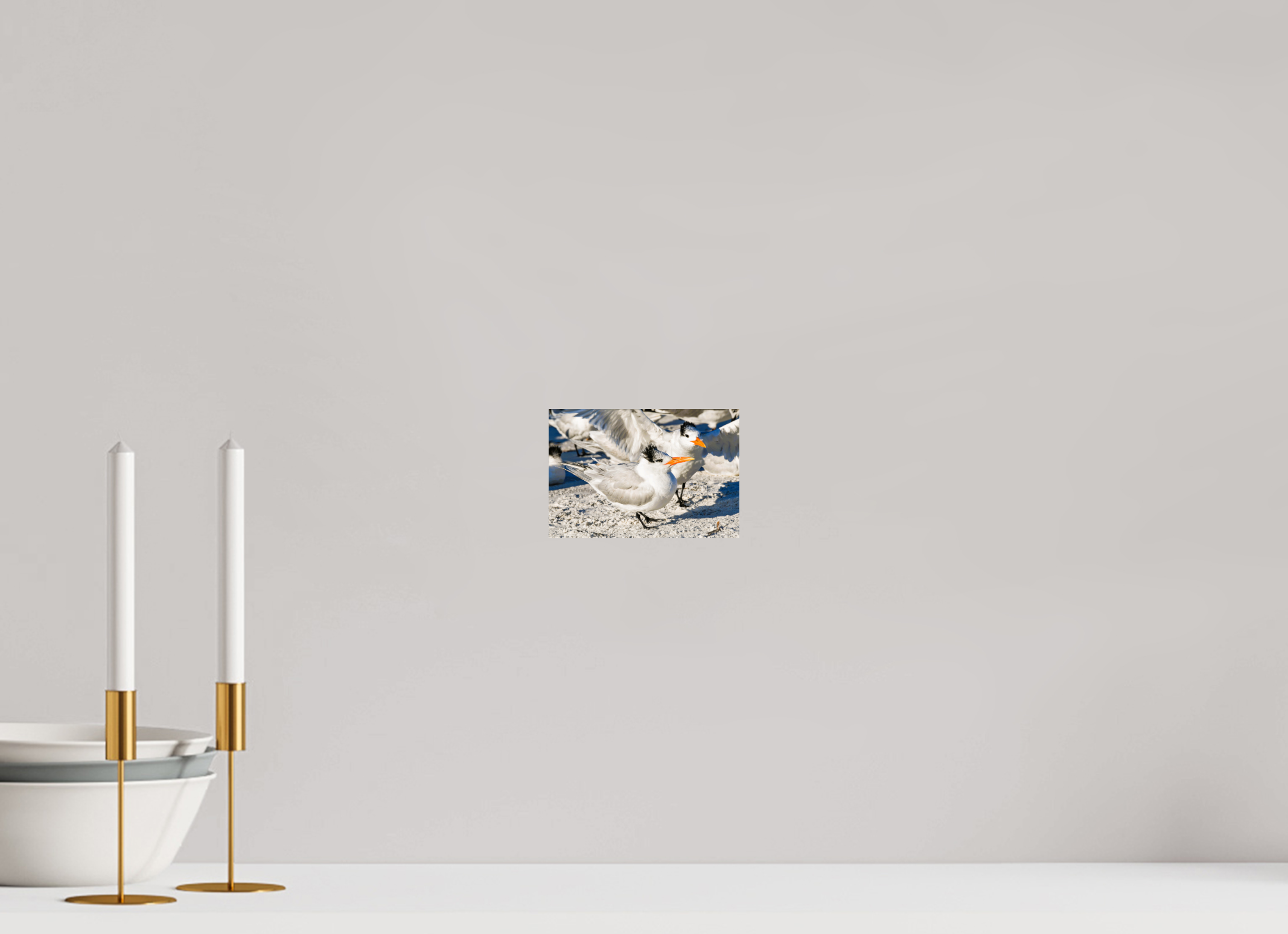 5.9 x 4″, Photo Print On Fuji Crystal DP II Coastal Royalty