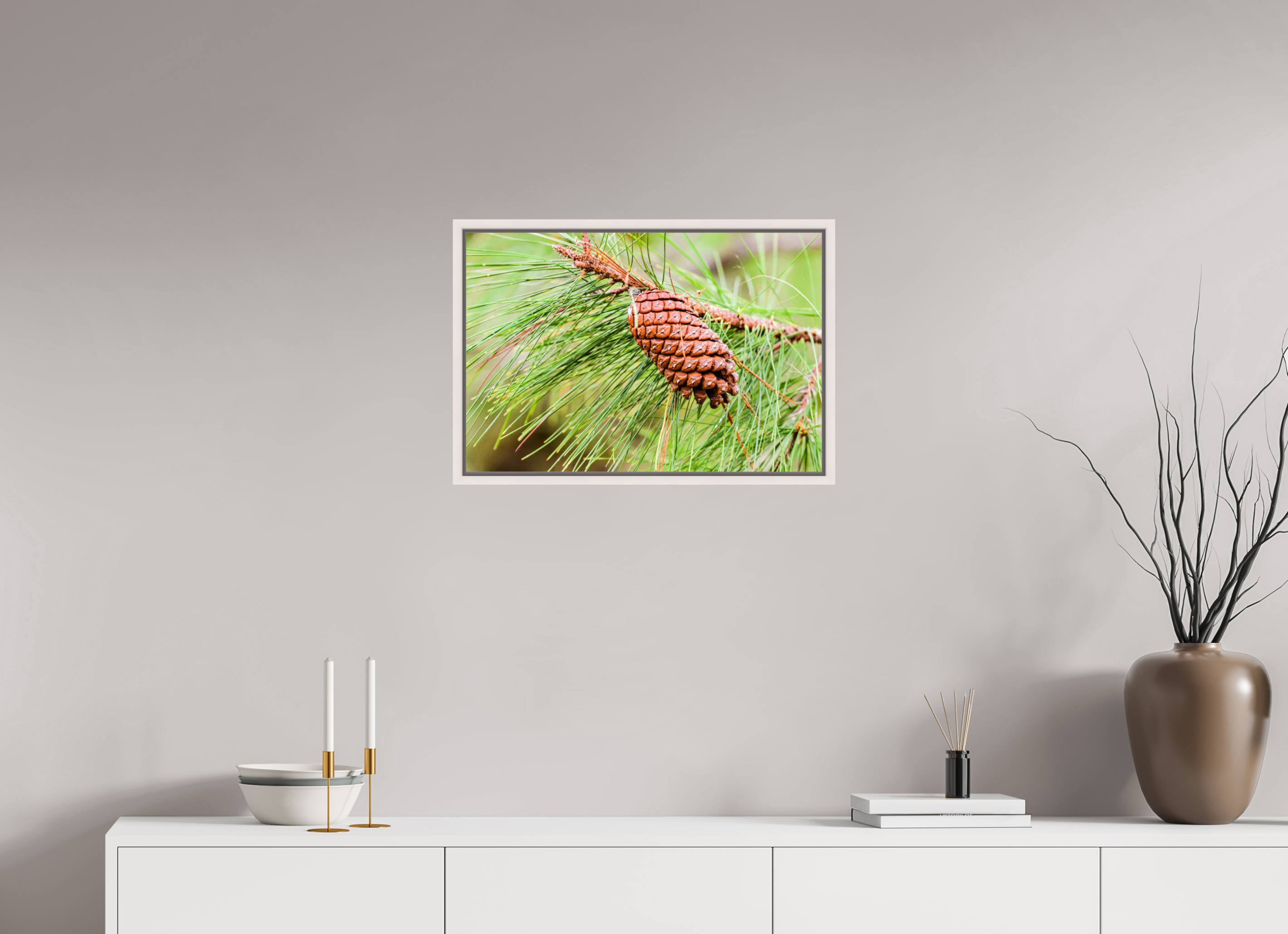 23.8 x 16″, Floater Frame, Basel 0.6", Maple White, Glossy Acrylic Glass The Longleaf Pine Cone