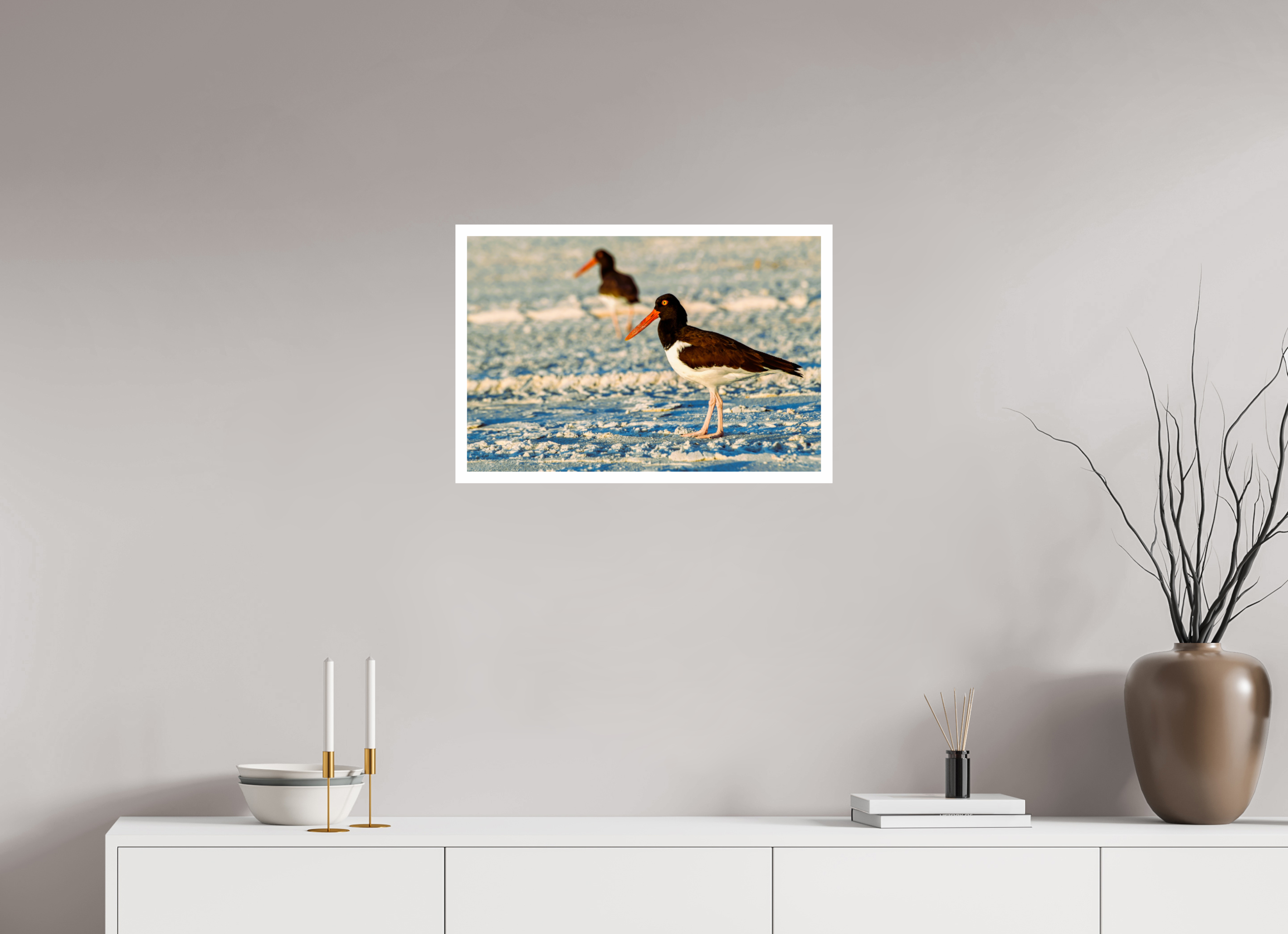 24 x 16″, Hahnemühle FineArt Pearl Print, .79" white border Oystercatcher Stroll