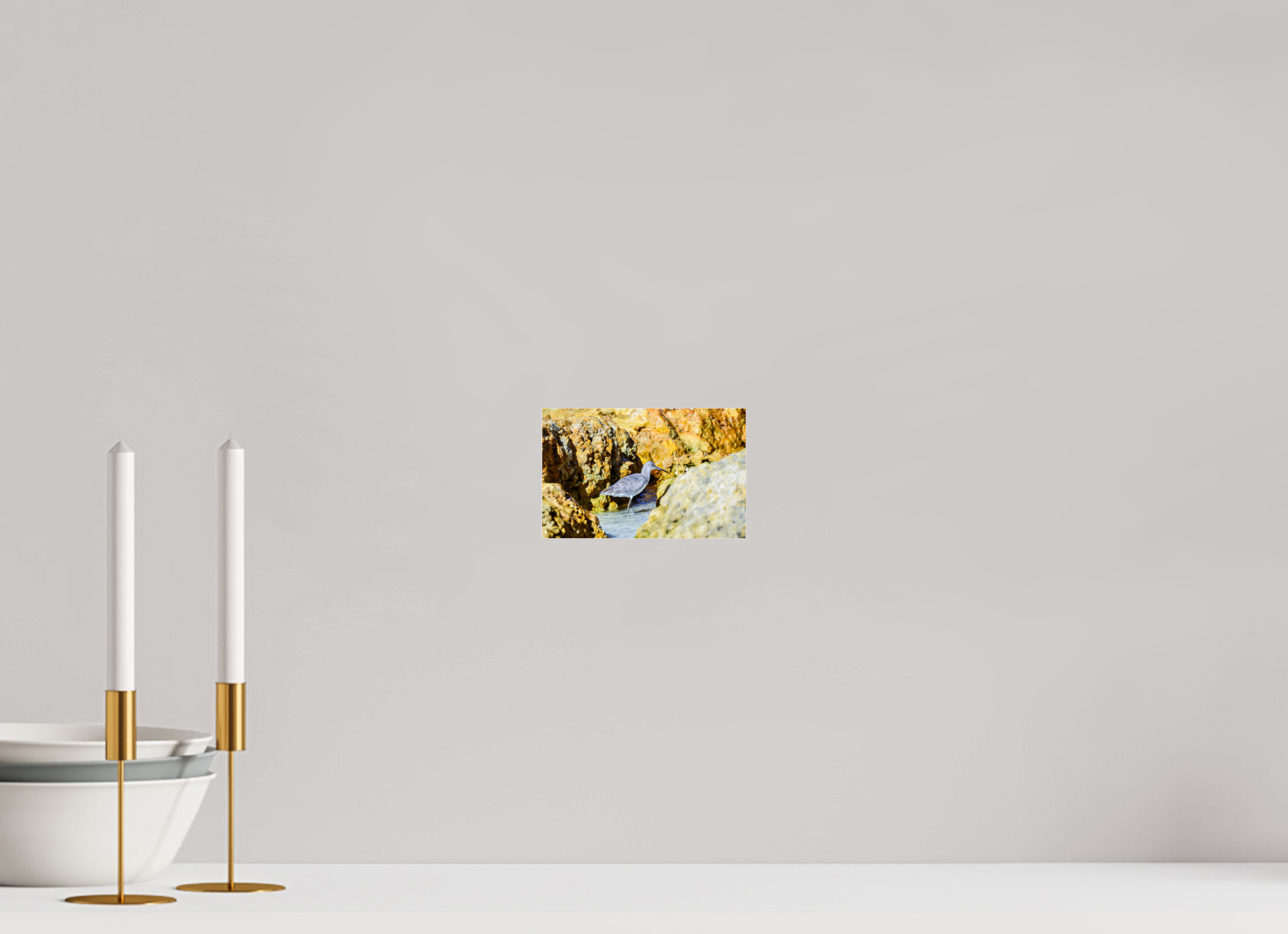 6.3 x 4″, Metallic Photo Print Under Acrylic Glass The Hiding Willet
