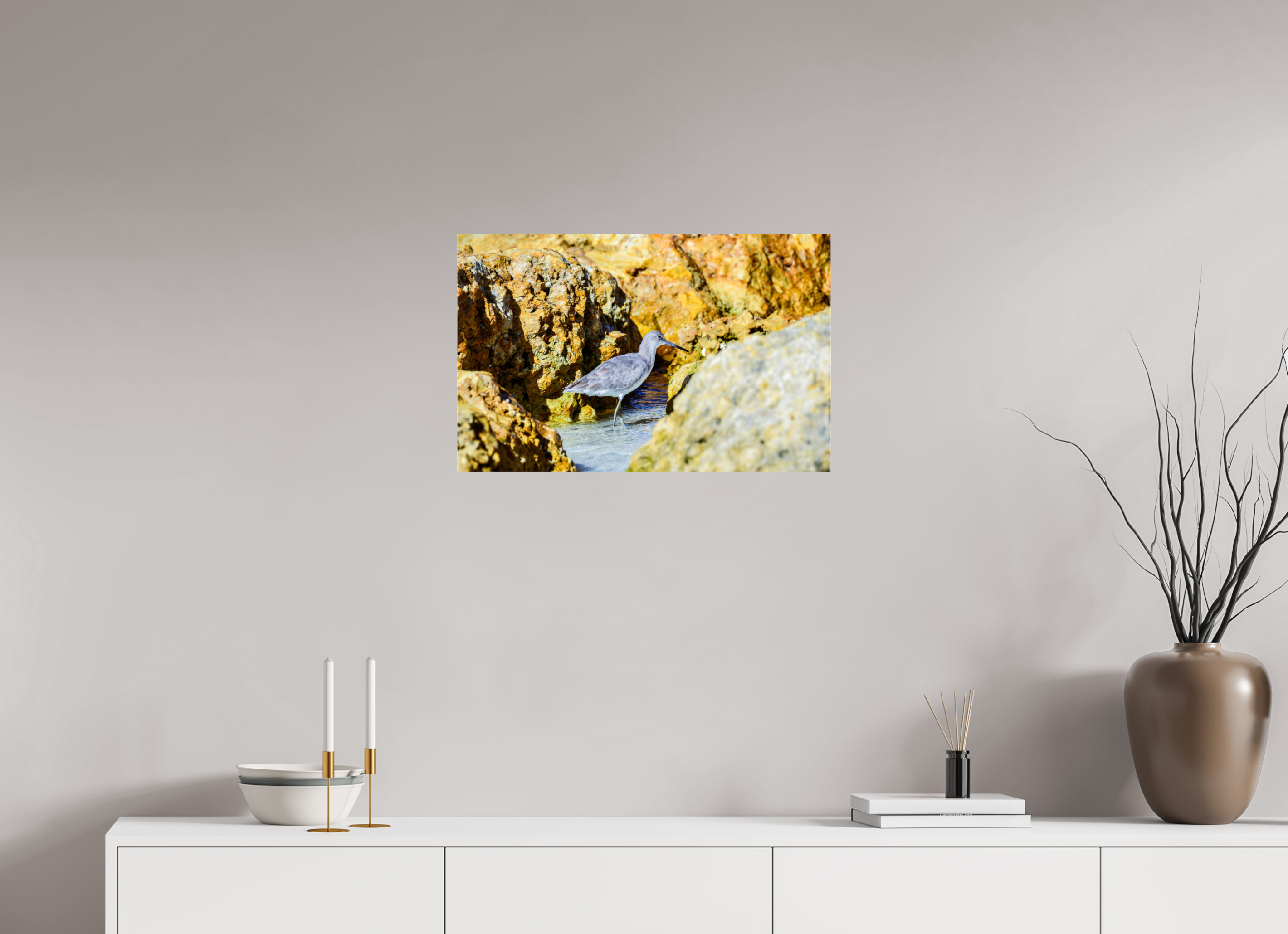25.2 x 16″, Photo Print Under Acrylic Glass The Hiding Willet