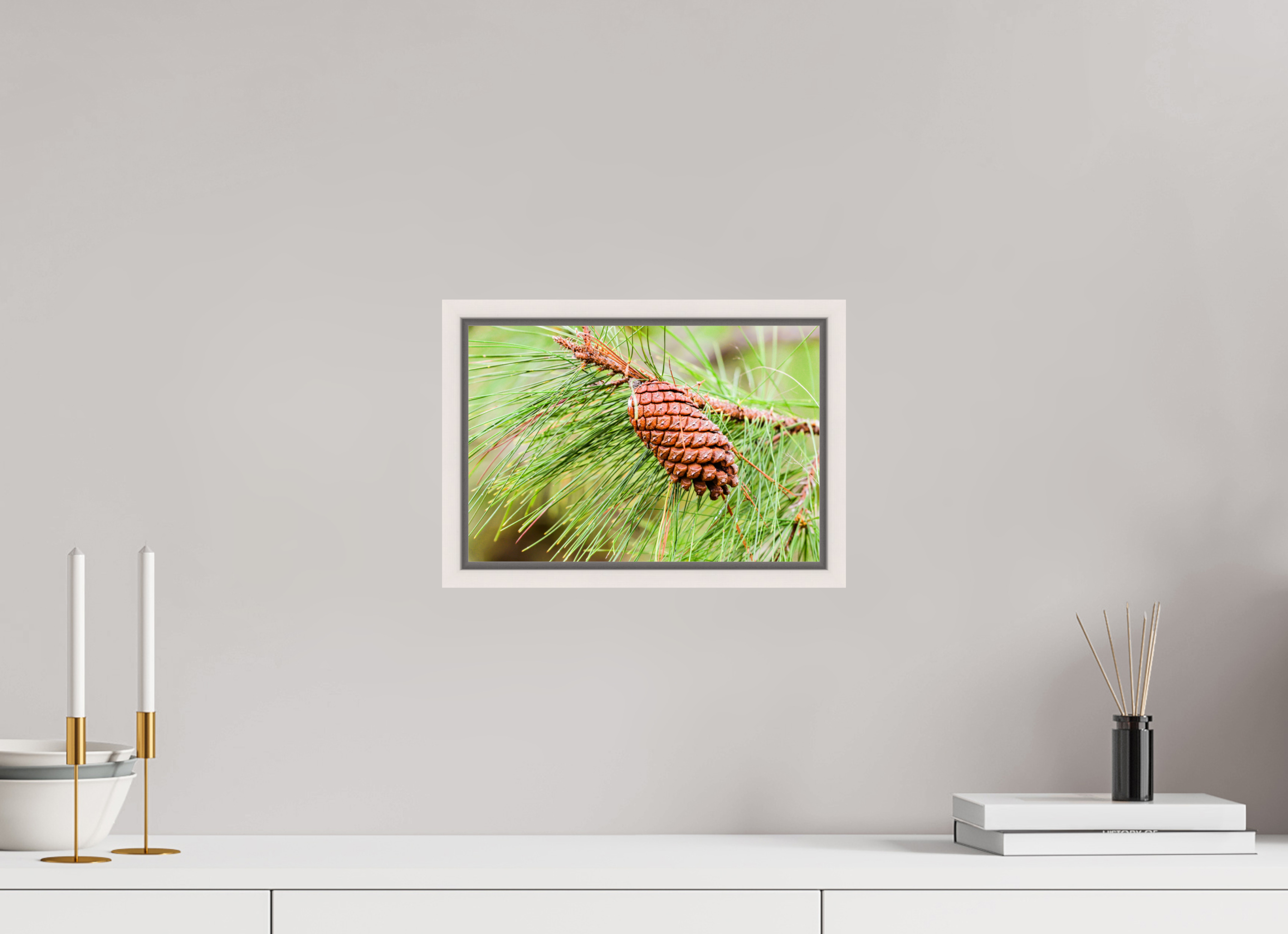 11.9 x 8″, Floater Frame, Basel 0.6", Maple White, Glossy Acrylic Glass The Longleaf Pine Cone