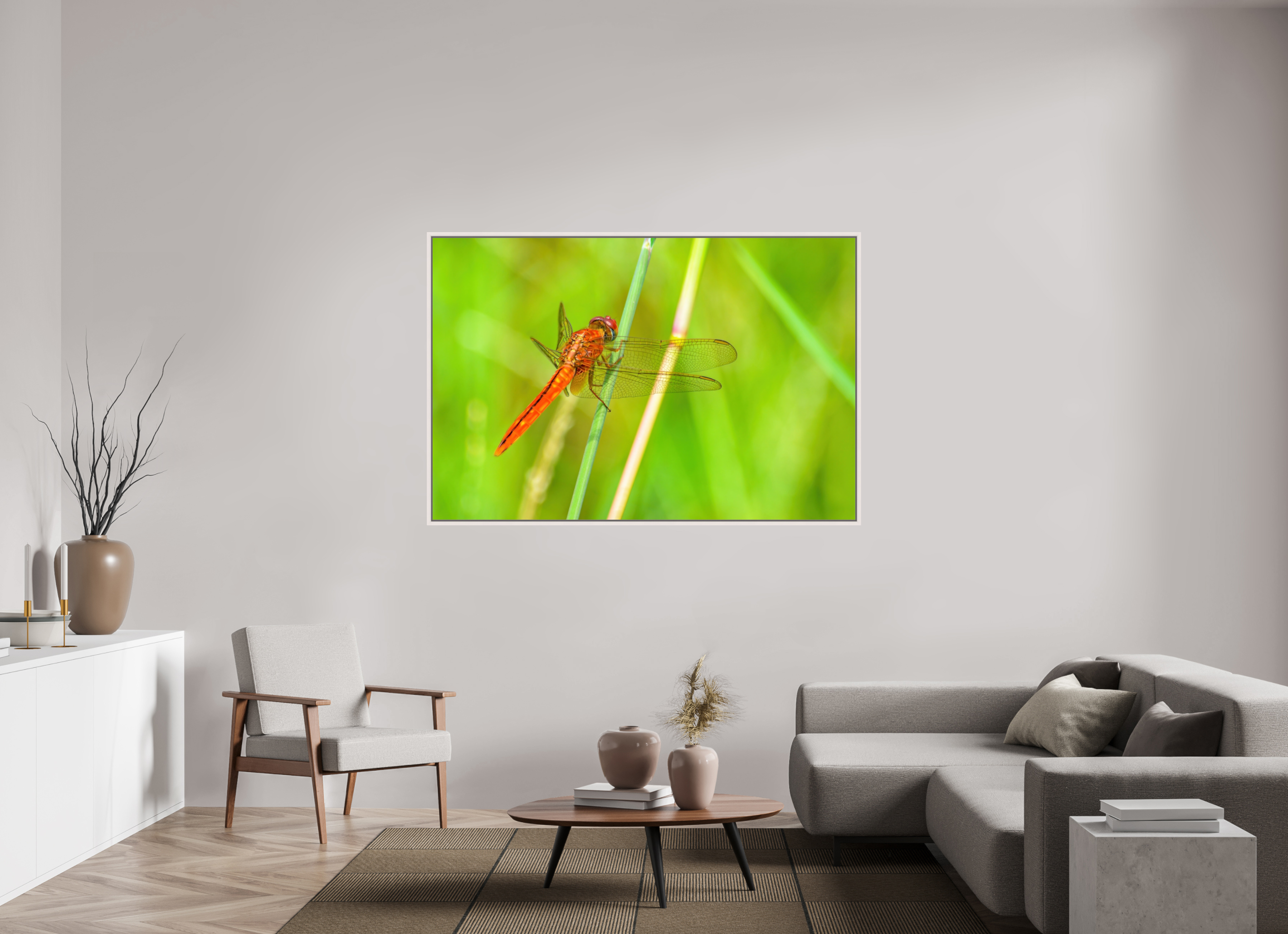 66 x 44″, Floater Frame, Basel 0.6", Maple White, Glossy Acrylic Glass Resting Scarlet Skimmer