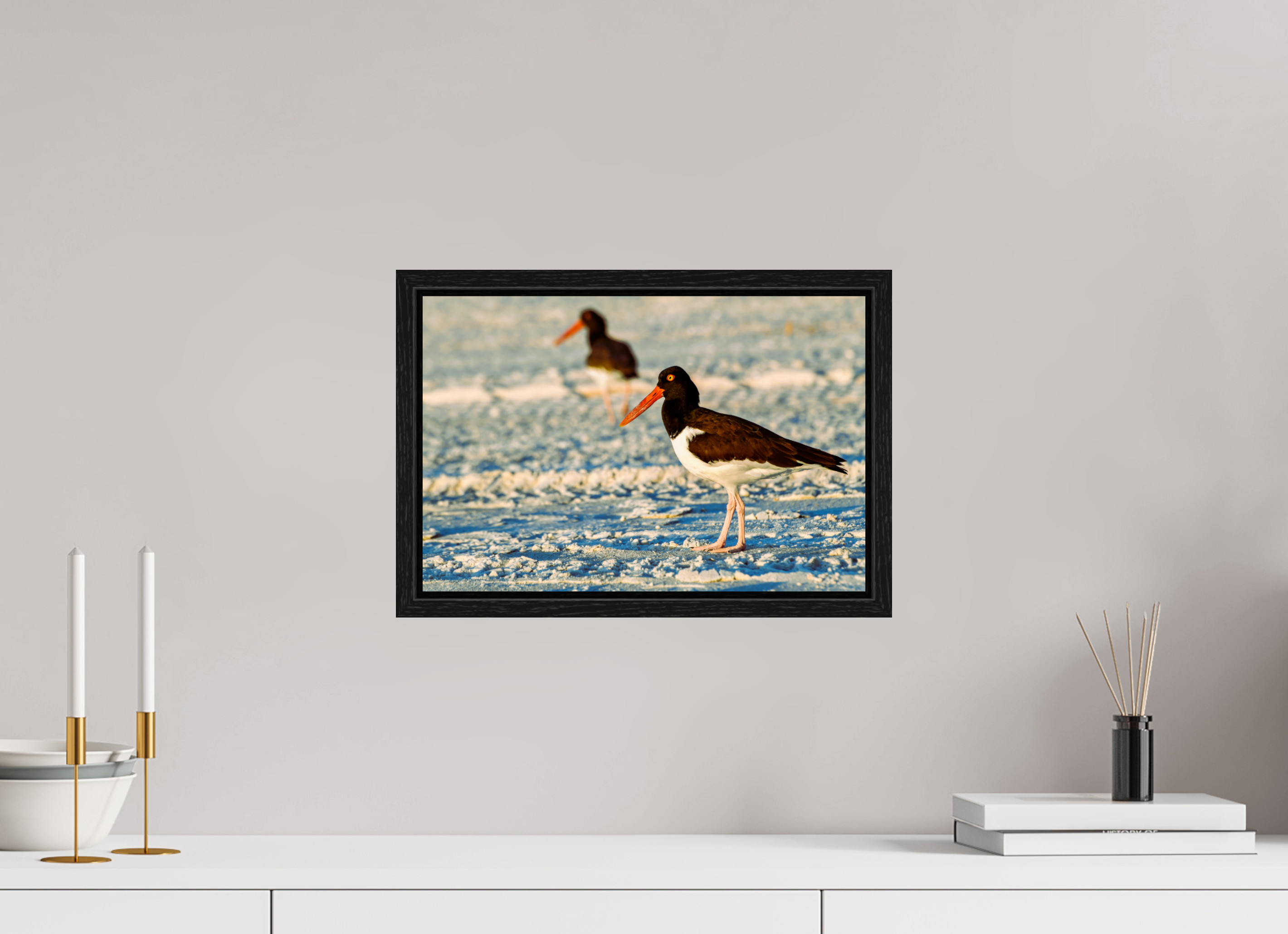 15 x 10″, Floater Frame Oystercatcher Stroll