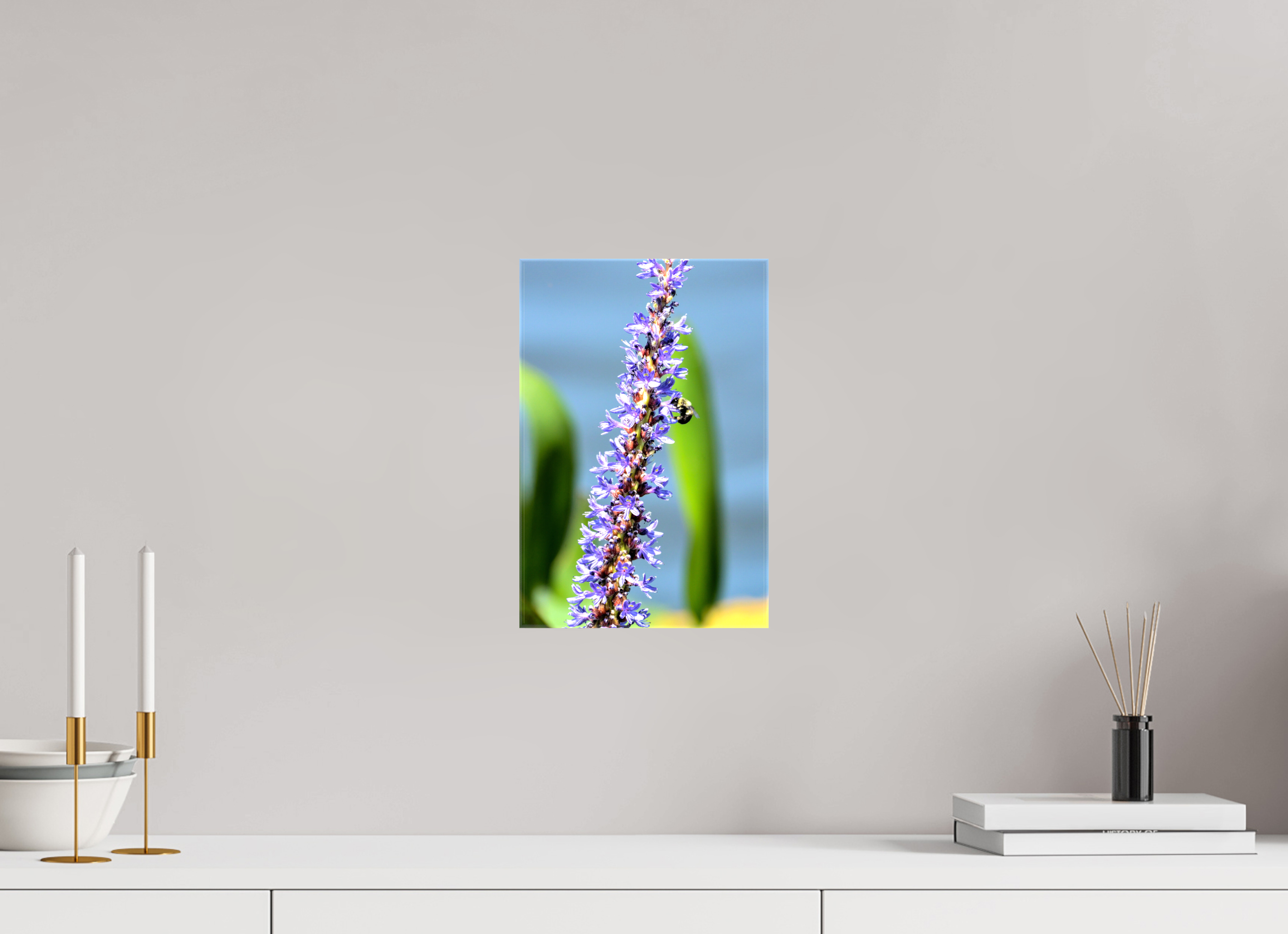 8 x 12″, Glossy Canvas on Stretcher Frame, 1,57" Wrapped Bloom & Buzz