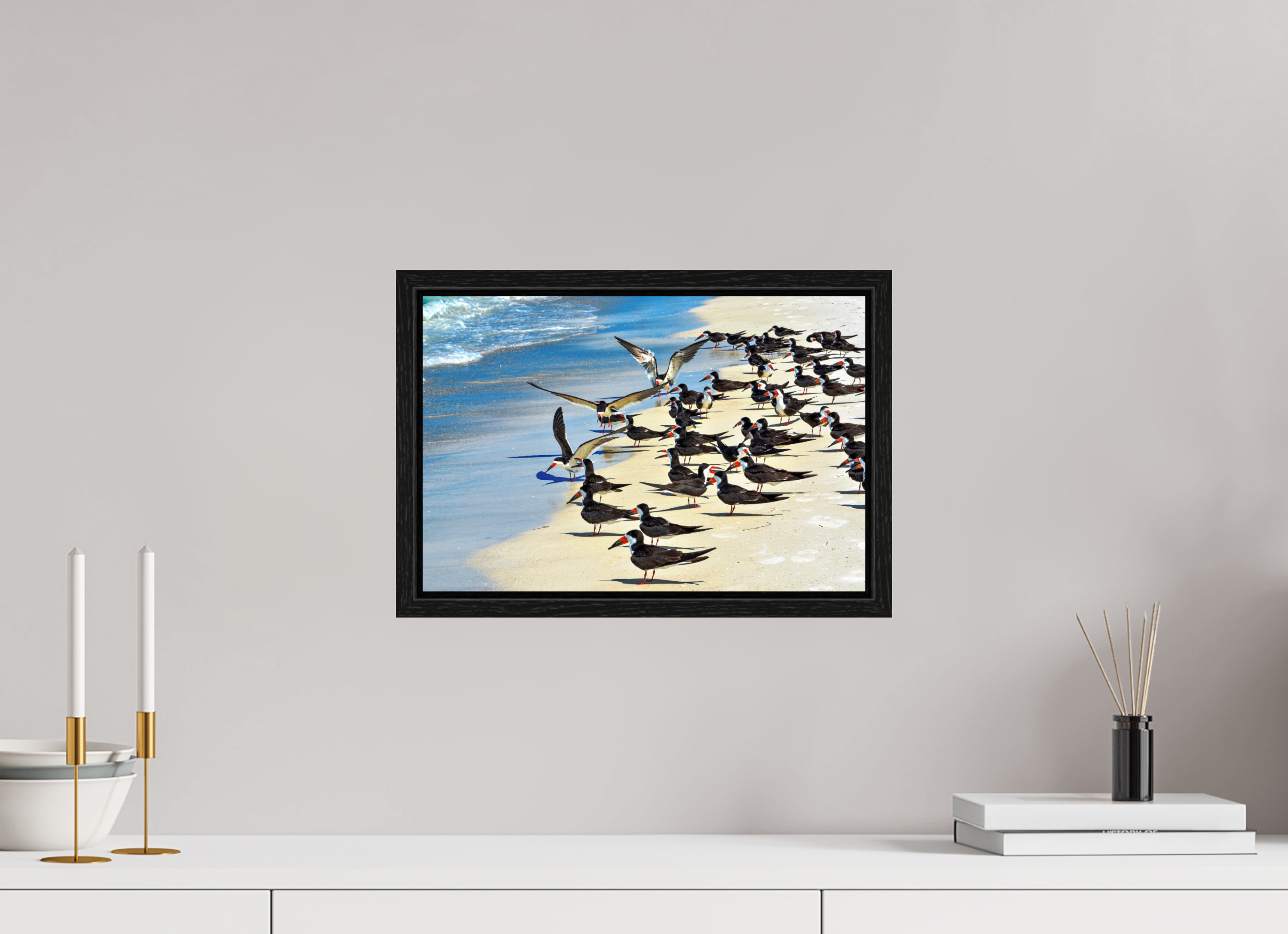15 x 10″, Floater Frame, Basel 0.6", Black Oak, Glossy Acrylic Glass Shoreline Social: Black Skimmer Colony