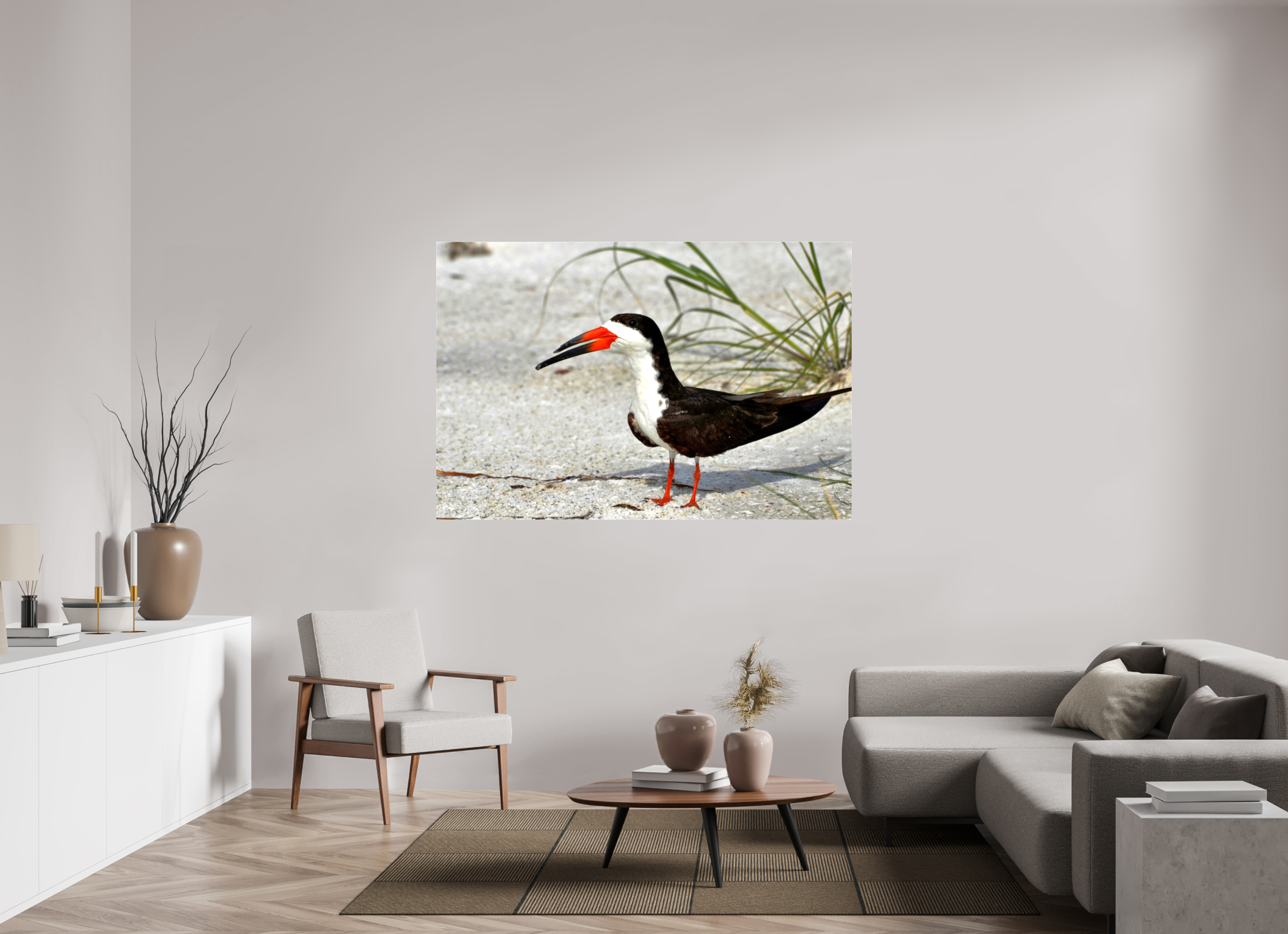 66 x 44″, Glossy Canvas on Stretcher Frame, 1,57" Wrapped Sand & Black Skimmer