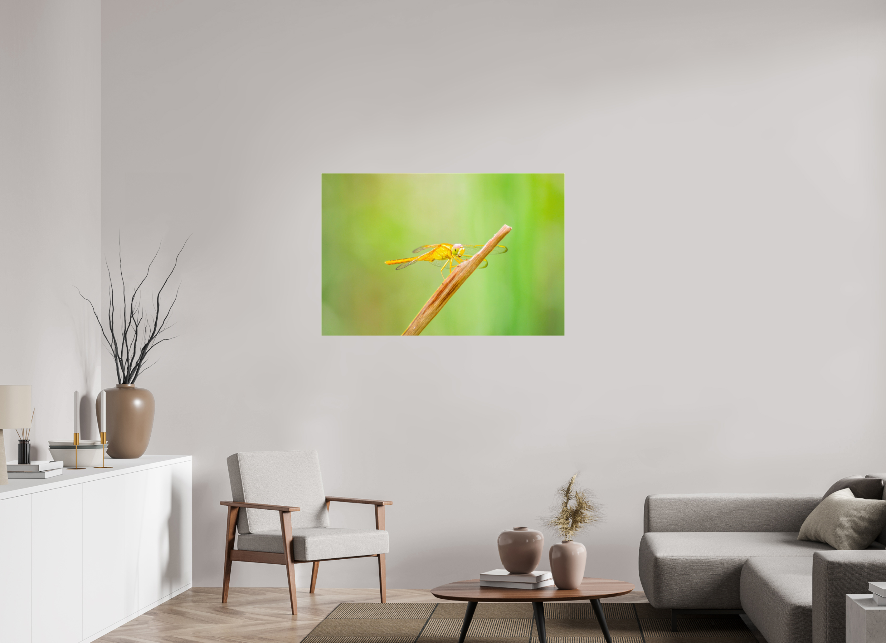 45 x 30″, Metallic Photo Print Under Acrylic Glass Sun-Drenched Golden Scarlet Skimmer