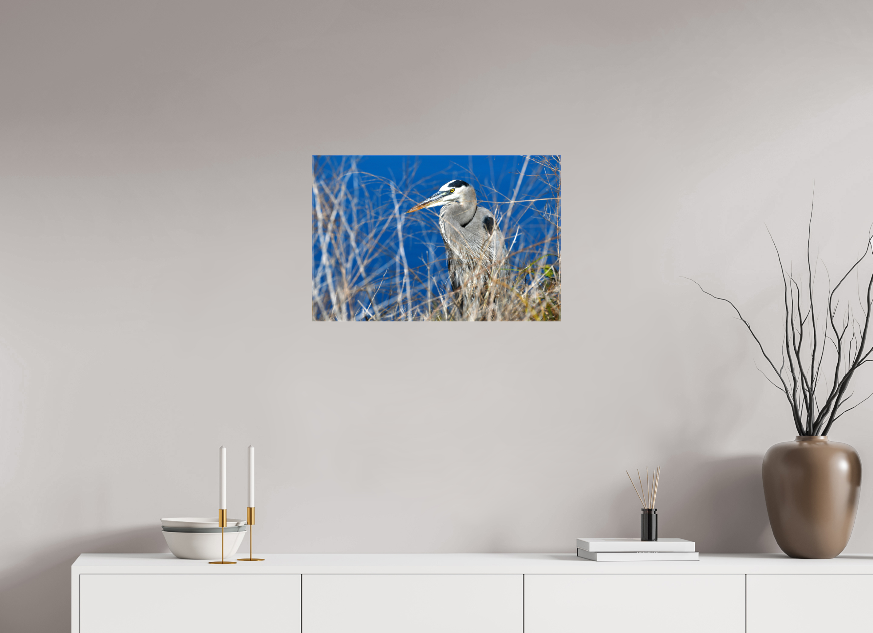 24 x 16″, Glossy Canvas on Stretcher Frame, 1,57" Wrapped Hidden Majesty: Great Blue Heron