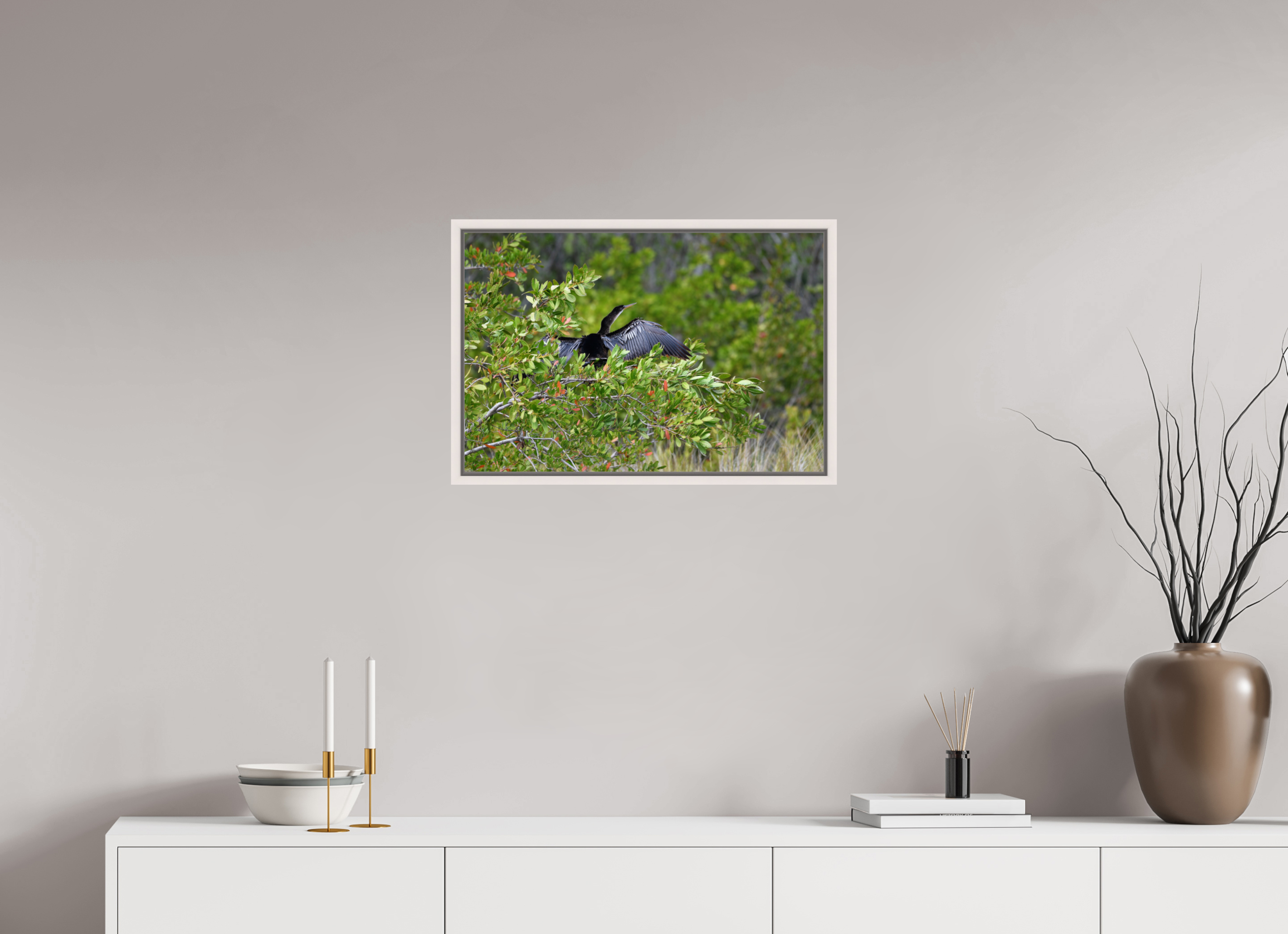 24 x 16″, Floater Frame, Basel 0.6", Maple White, Glossy Acrylic Glass Florida Anhinga Sunning