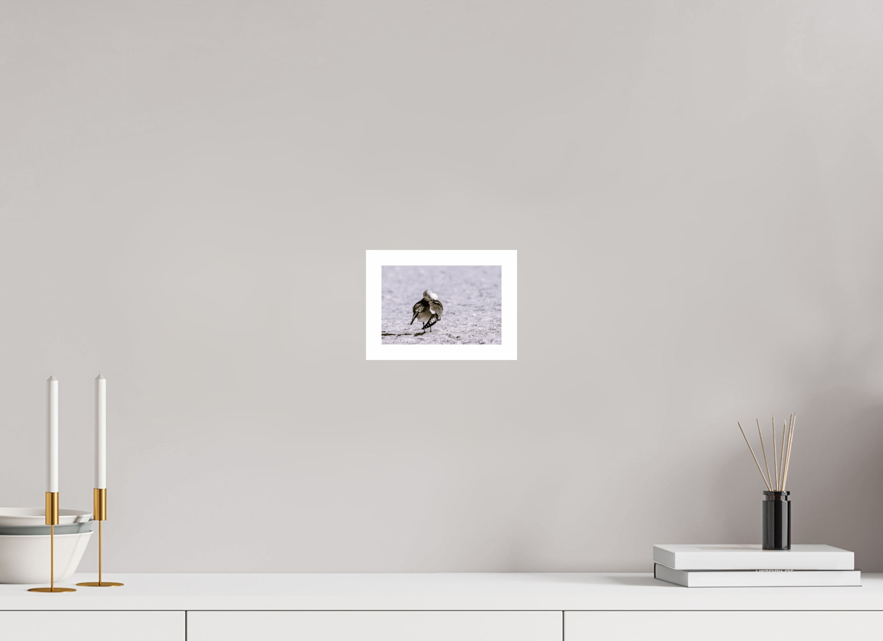 6.1 x 4″, Hahnemühle FineArt Pearl Print, .79" white border Preening Gull
