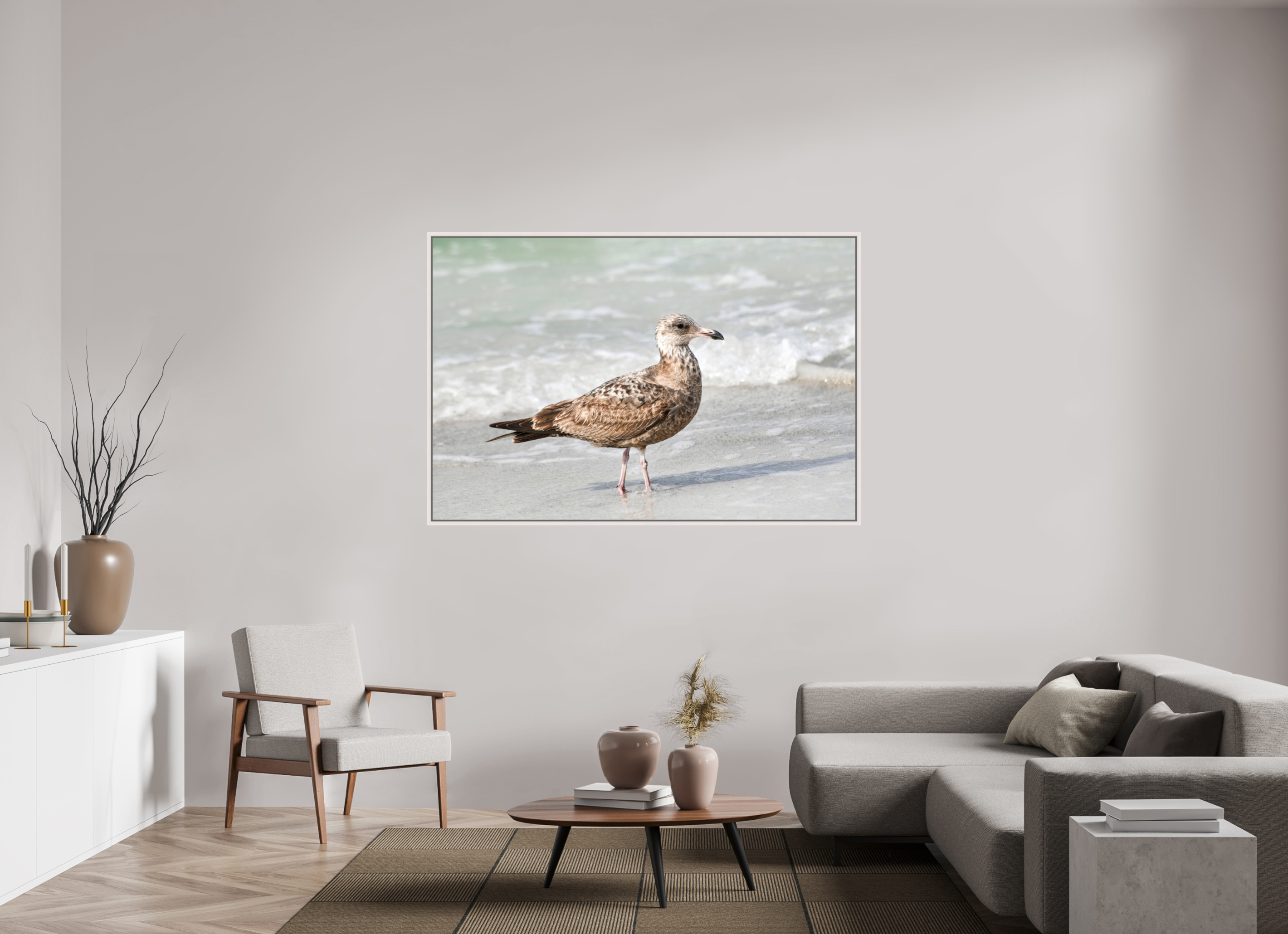 66 x 44″, Floater Frame, Basel 0.6", Maple White, Glossy Acrylic Glass The Young Explorer: Immature American Herring Gull
