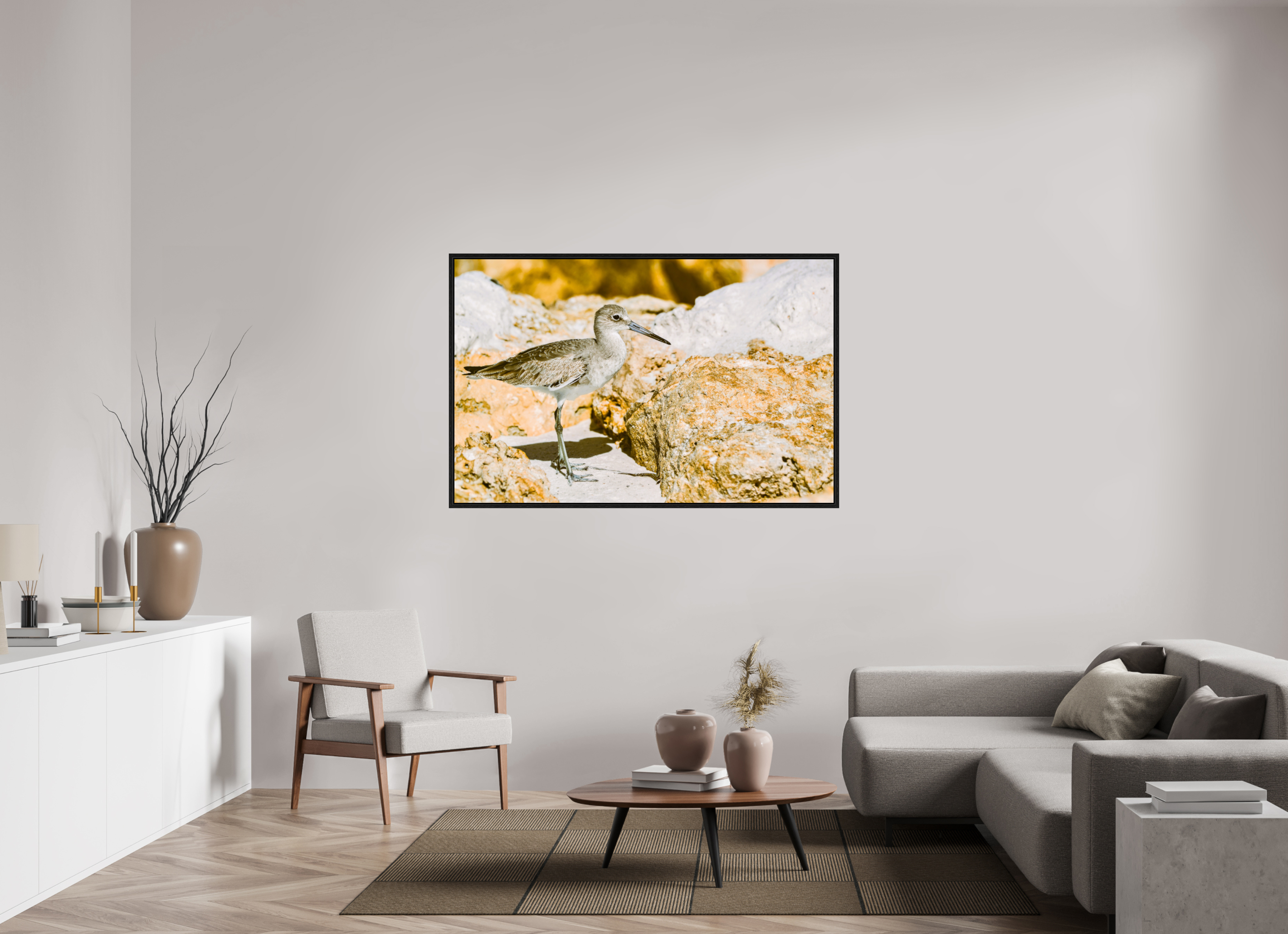 60.7 x 39″, Floater Frame The Sunny Willet