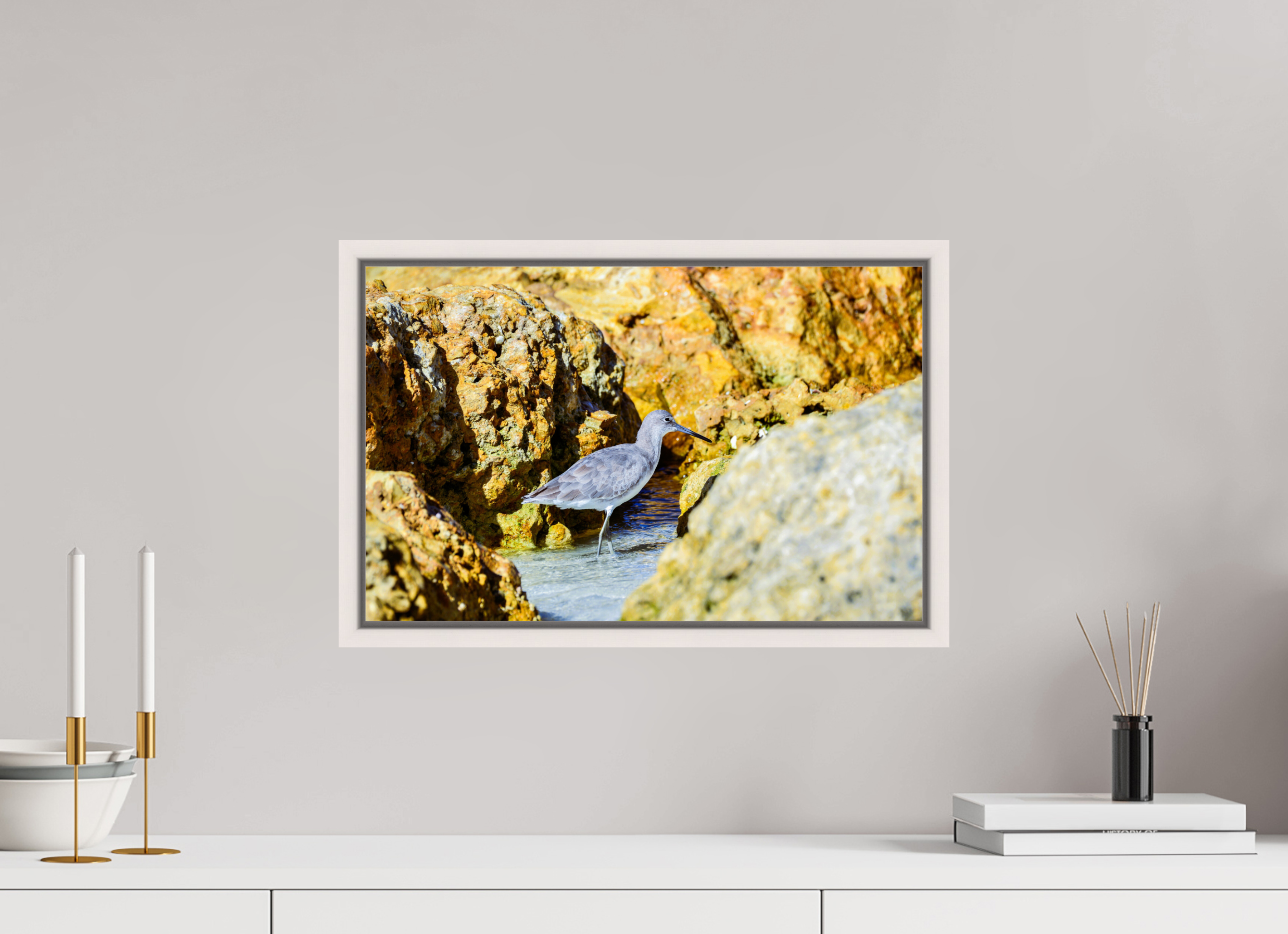 18.9 x 12″, Floater Frame, Basel 0.6", Maple White, Glossy Acrylic Glass The Hiding Willet