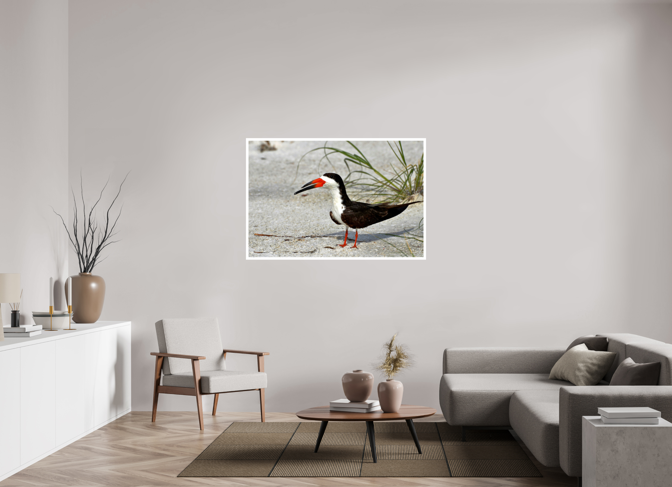 54 x 36″, Hahnemühle FineArt Pearl Print, .79" white border Sand & Black Skimmer