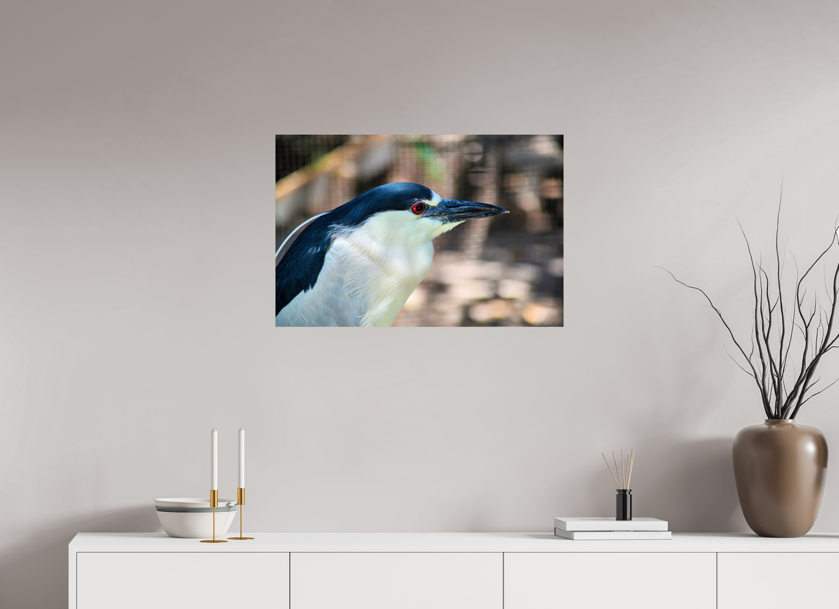 30 x 20″, Photo Print On Fuji Crystal DP II Black-crowned Night Heron