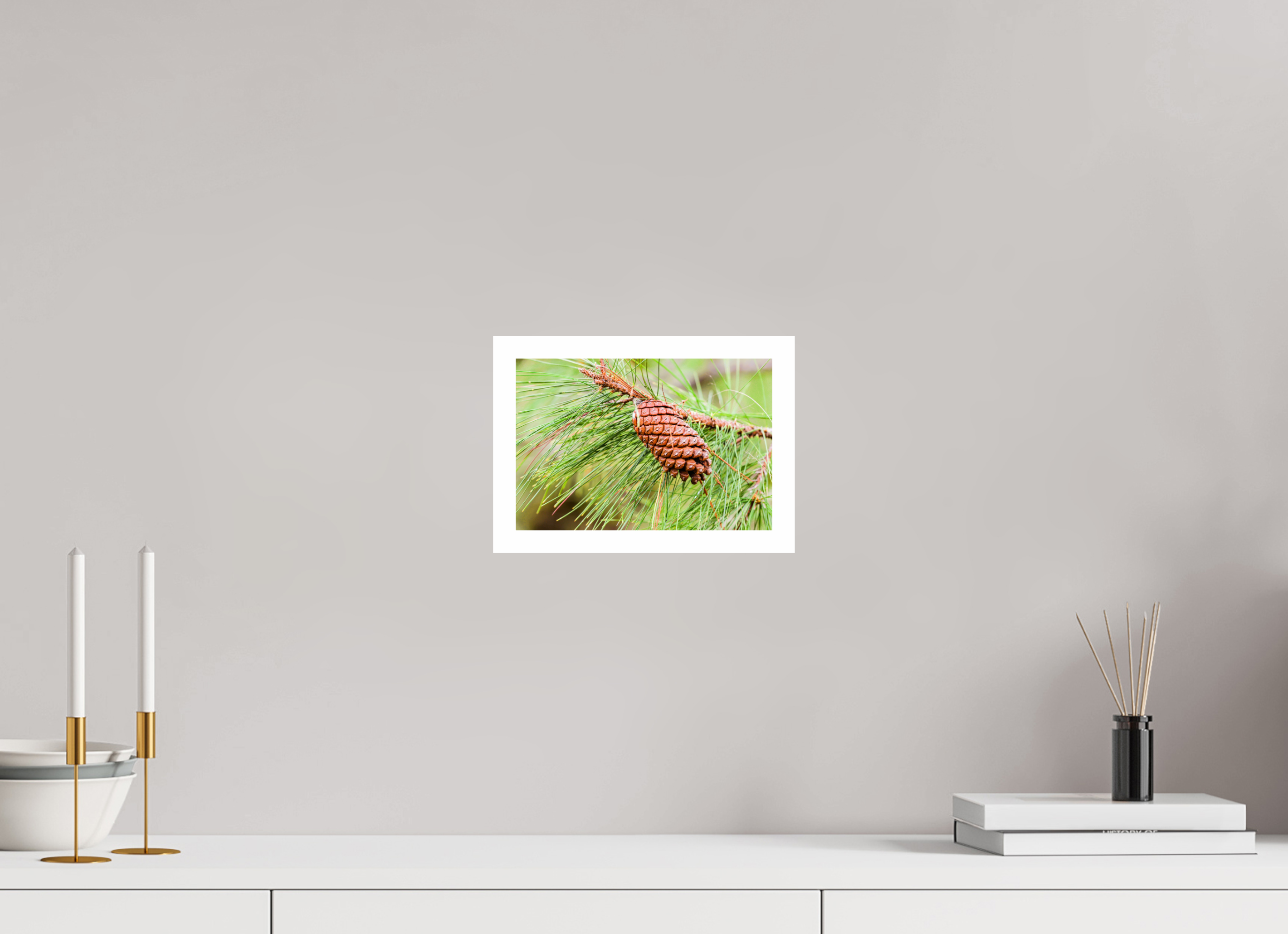 8.9 x 6″, Hahnemühle FineArt Pearl Print, .79" white border The Longleaf Pine Cone