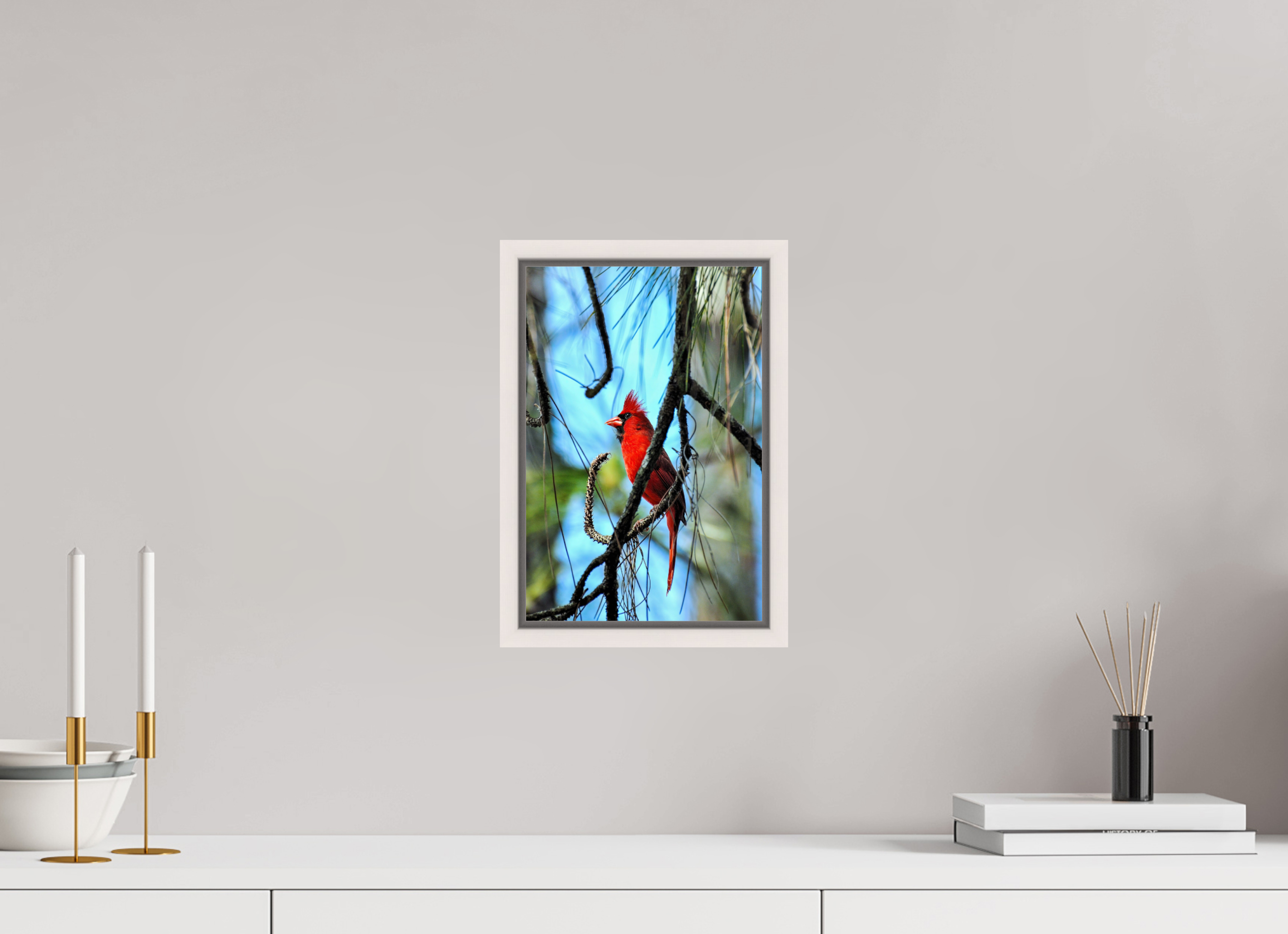 8 x 12″, Floater Frame, Basel 0.6", Maple White, Glossy Acrylic Glass The Corkscrew Cardinal