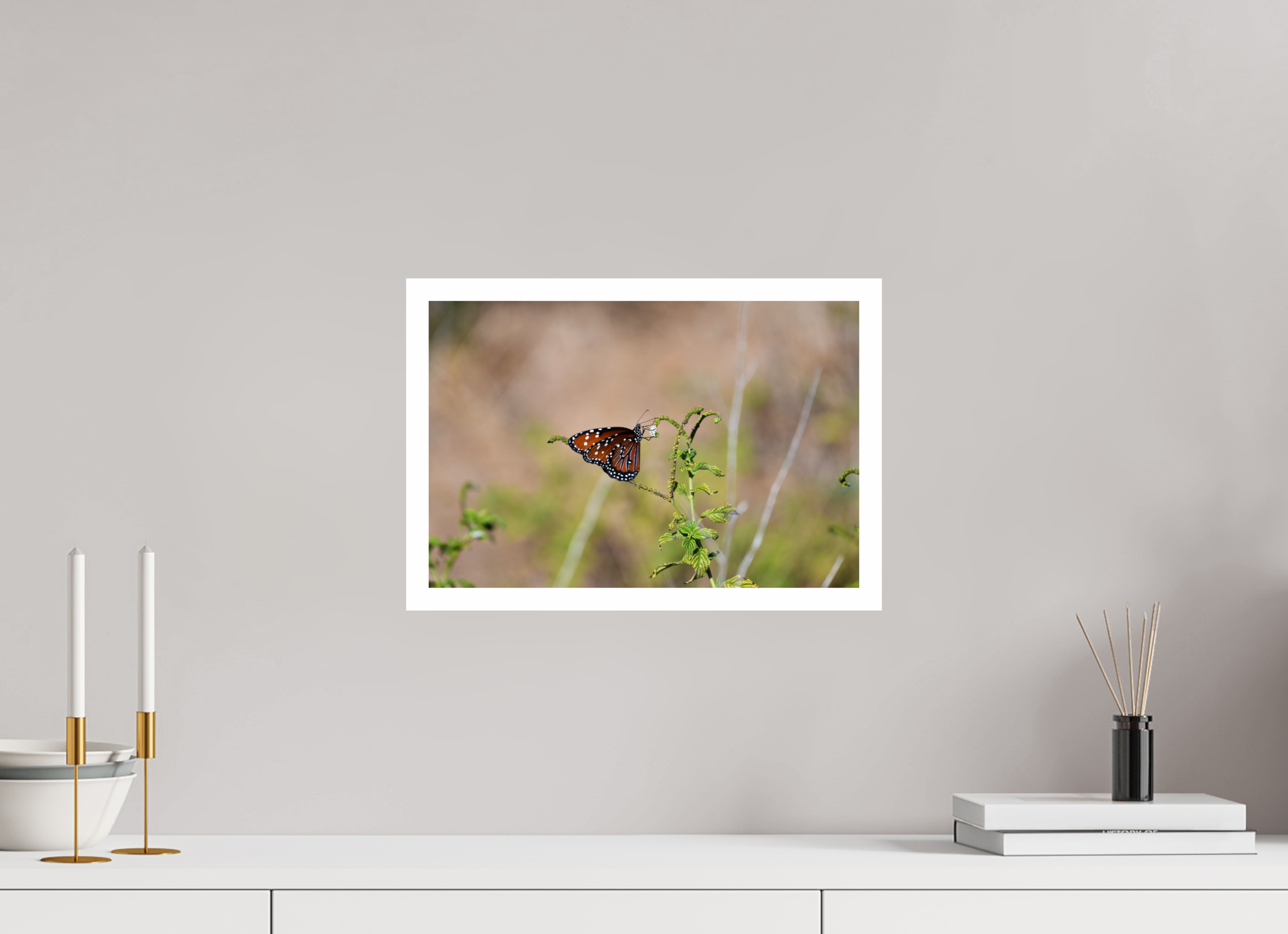15 x 10″, Hahnemühle FineArt Pearl Print without Frame, .79" white border Queen Butterfly