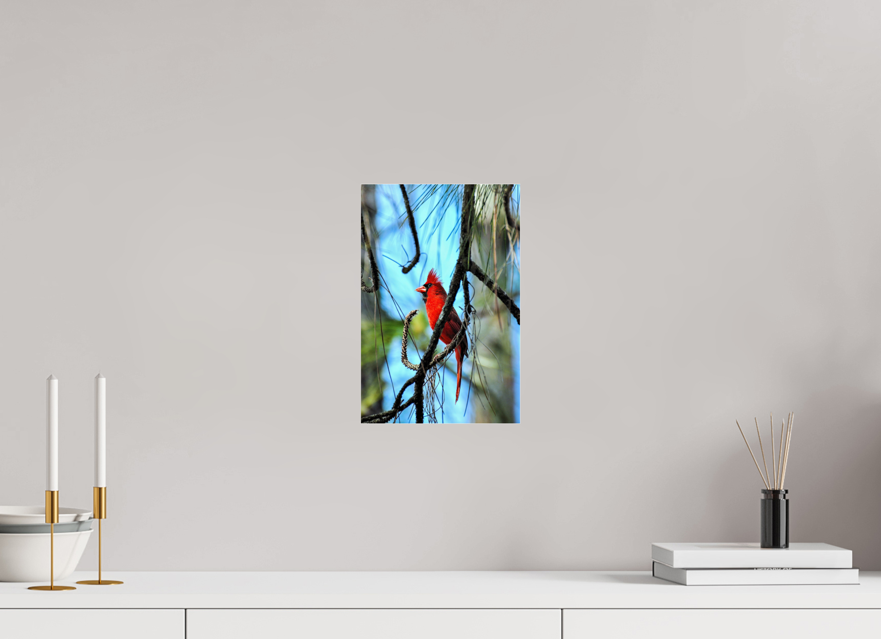 8 x 12″, Metallic Photo Print Under Acrylic Glass The Corkscrew Cardinal